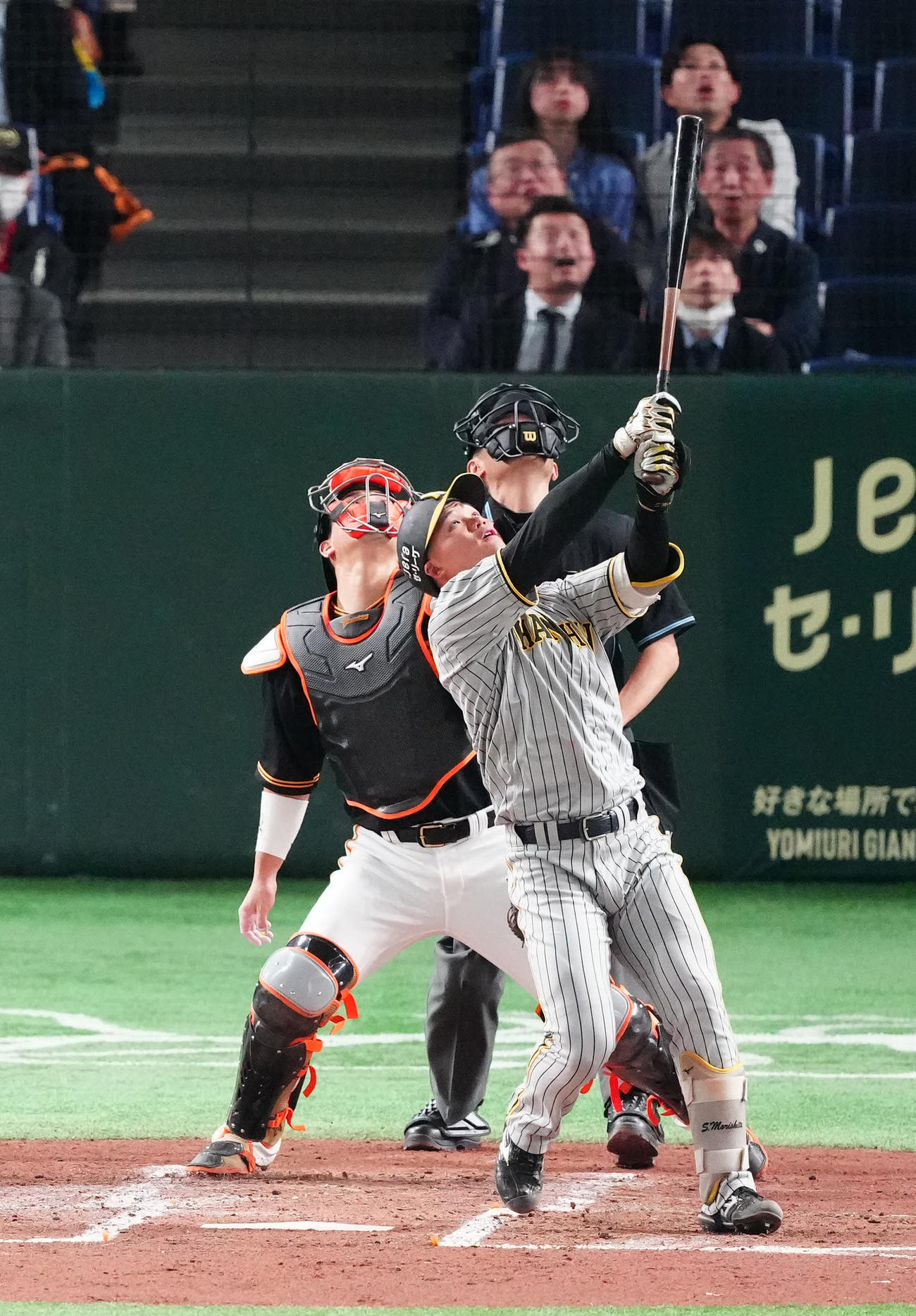 2回表阪神2死、三邪飛に倒れる森下（撮影・江口和貴）