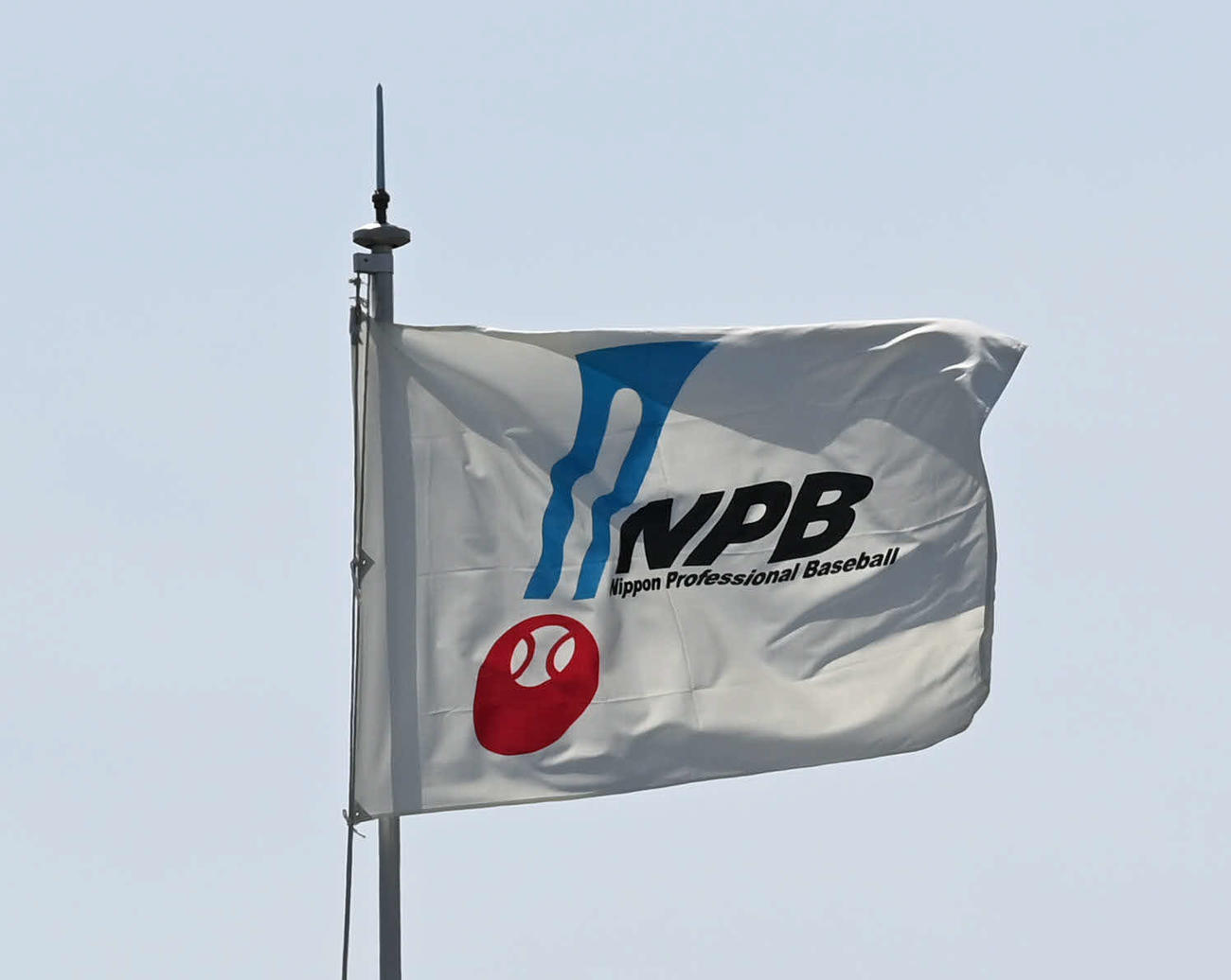 NPB旗