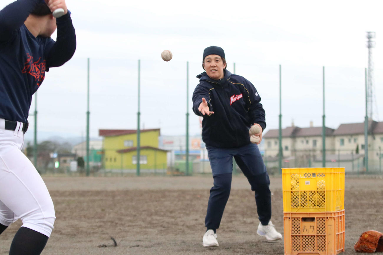 打撃練習で選手にトスを上げる栗山高女子硬式野球部の金監督（撮影・山崎純一）