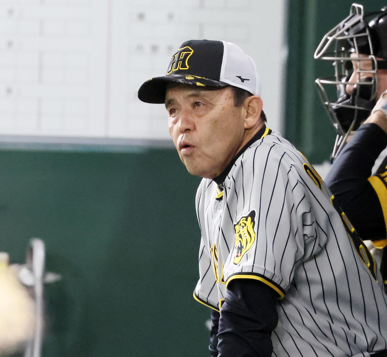巨人対阪神　ベンチに座ってグラウンドを見る岡田監督（撮影・加藤哉）