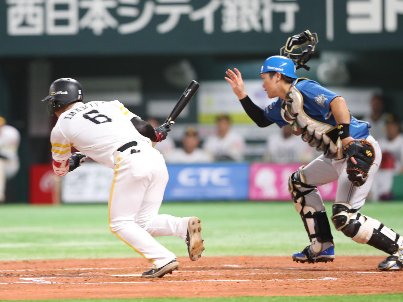 ソフトバンク対日本ハム　2回裏ソフトバンク無死一、二塁、今宮は送り犠打成功（撮影・梅根麻紀）