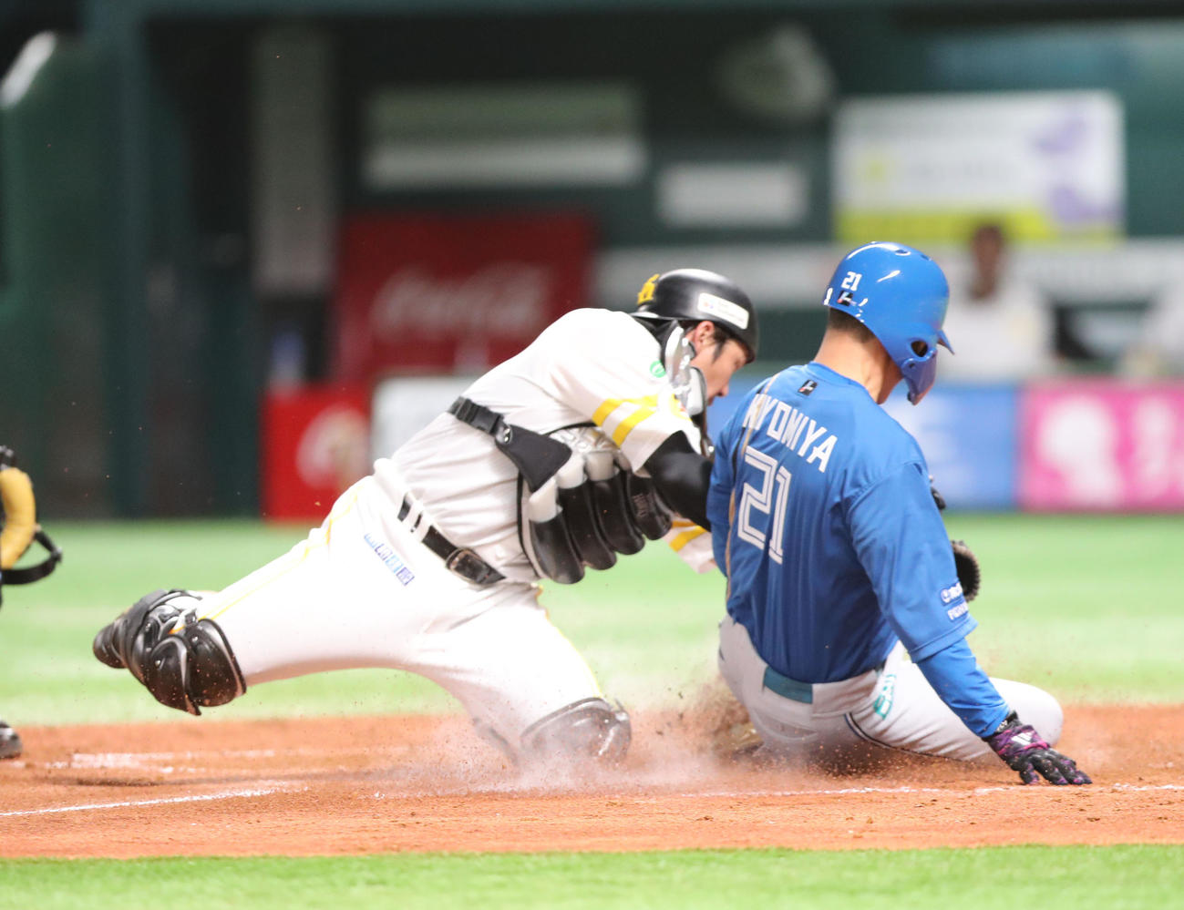 ソフトバンク対日本ハム　4回表日本ハム無死一塁、野村の中越え二塁打で生還を試みる清宮、惜しくもアウト（撮影・梅根麻紀）