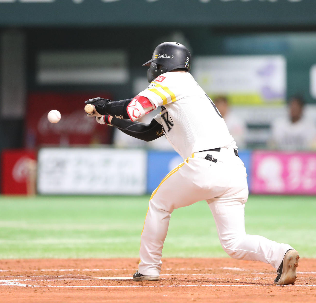 ソフトバンク対日本ハム　2回裏ソフトバンク無死一、二塁、今宮は送り犠打成功（撮影・梅根麻紀）