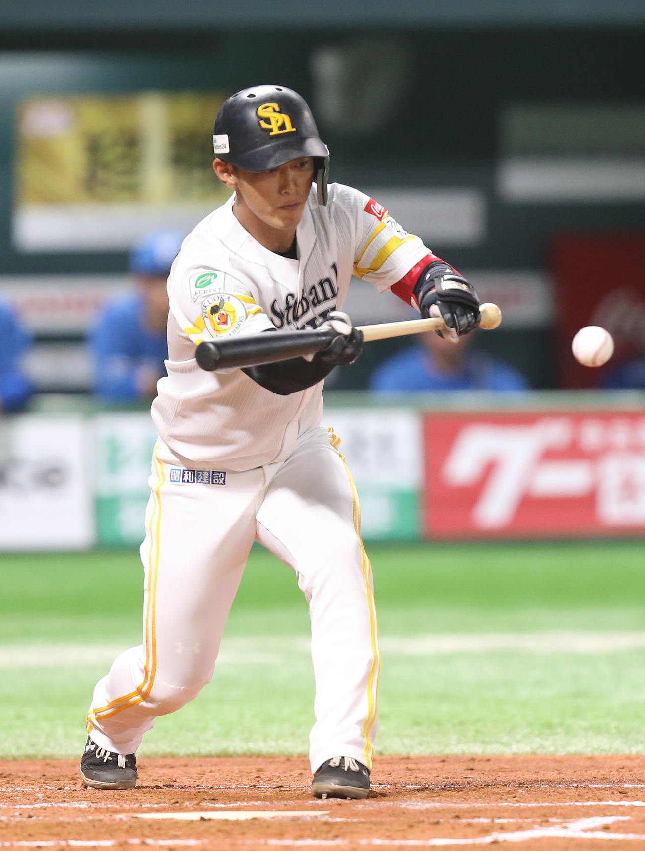 ソフトバンク対日本ハム　2回裏ソフトバンク無死一、二塁、今宮は送りバントと決める（撮影・冨田成美）