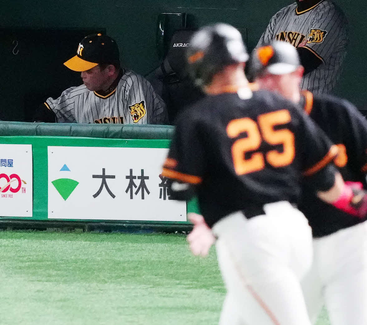 巨人対阪神　8回裏巨人無死、石井が岡本和（手前）に同点ソロ本塁打を浴び、ベンチで厳しい表情の岡田監督（撮影・江口和貴）