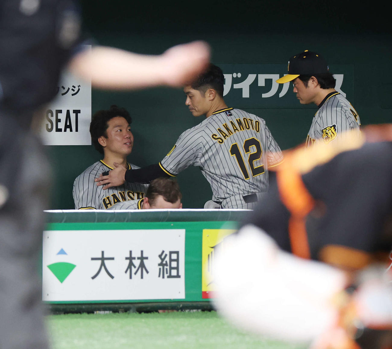 巨人対阪神　8回表1死、代打が送られた村上（左）（撮影・宮地輝）