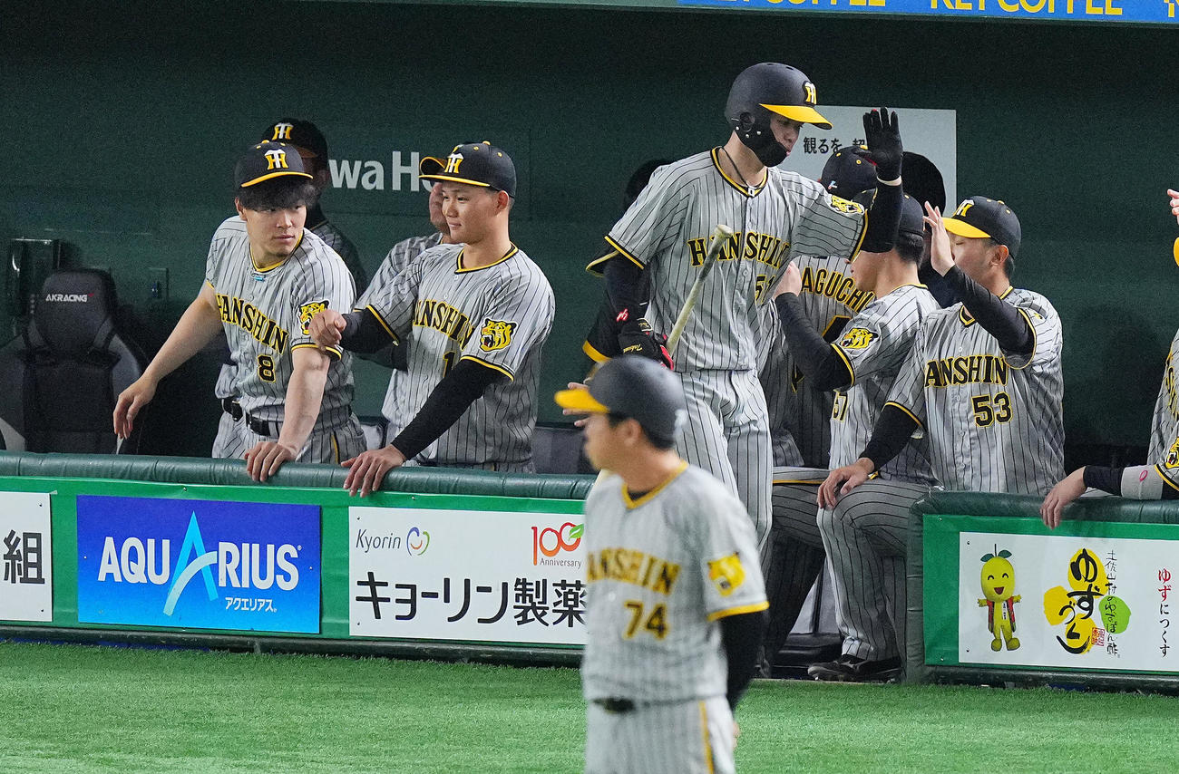 巨人対阪神　1回表阪神無死一塁、犠打を決めた中野（中央）を出迎える佐藤輝（左）、森下（同2人目）らナイン（撮影・垰建太）