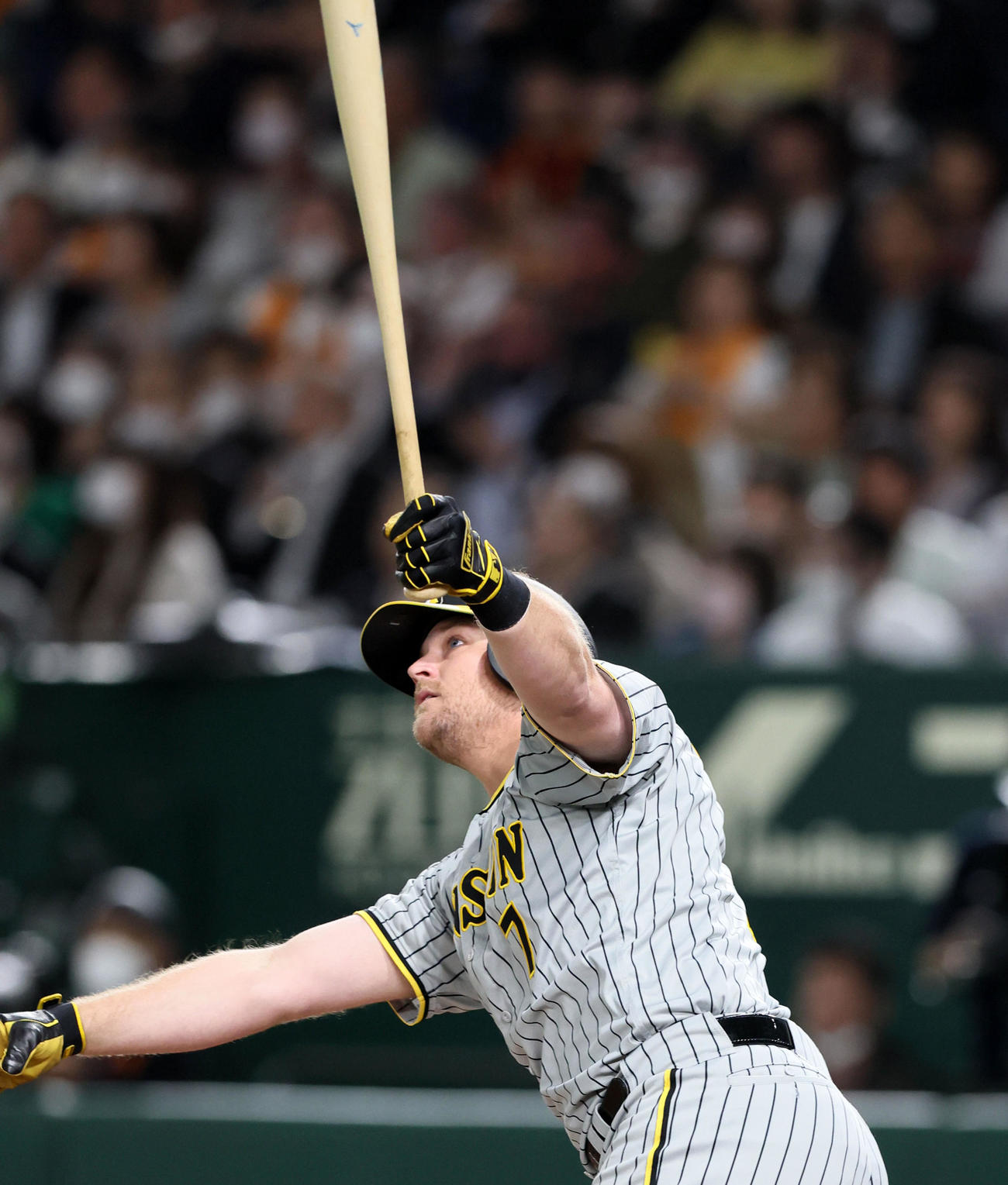 巨人対阪神　2回表阪神無死、ノイジーは左越えソロ本塁打を放つ（撮影・加藤哉）