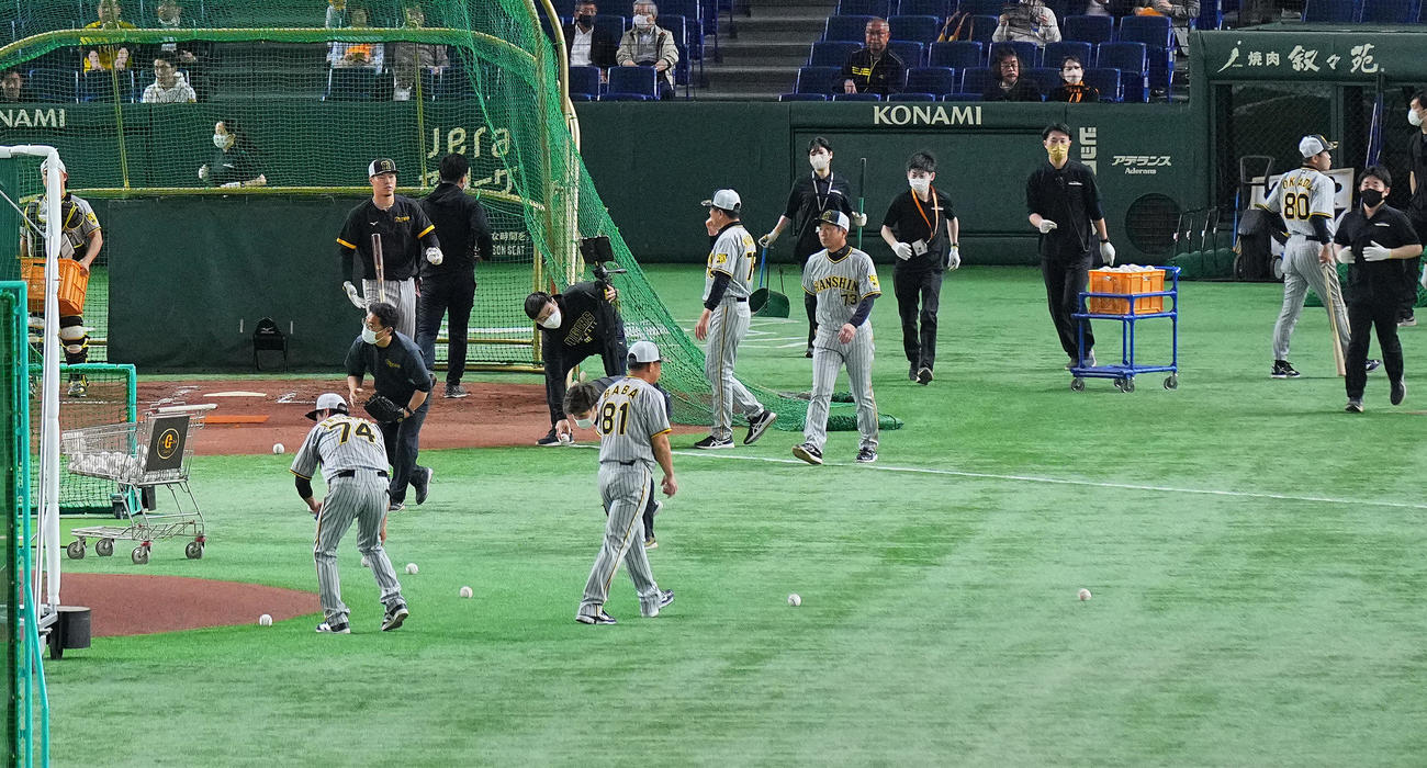 巨人対阪神　試合前、チームの最後に打撃練習を行った阪神佐藤輝（後方左）。右端は岡田監督（撮影・垰建太）
