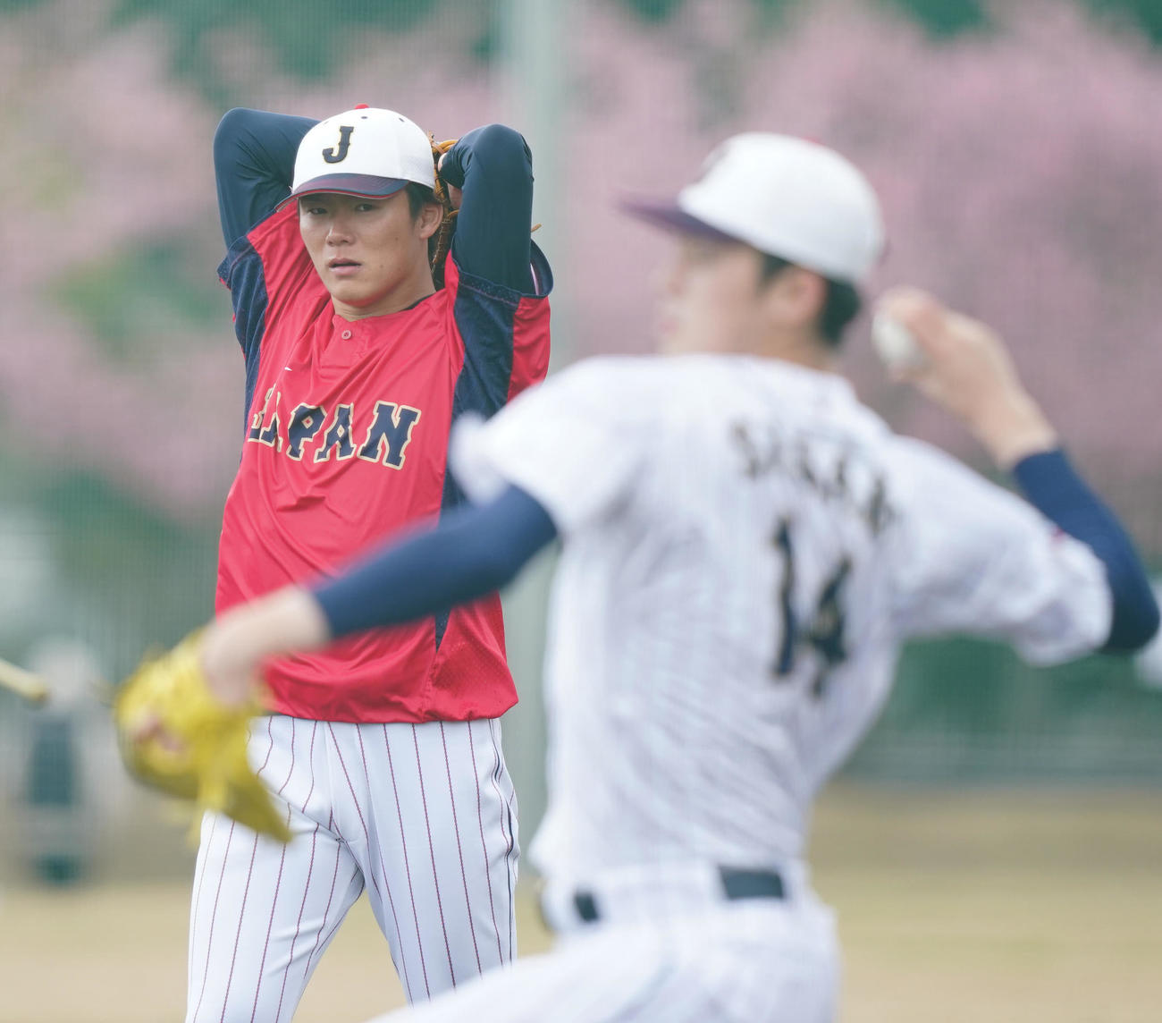 侍ジャパンの合宿でキャッチボールする佐々木（手前）を見つめる山本（２０２３年２月撮影）