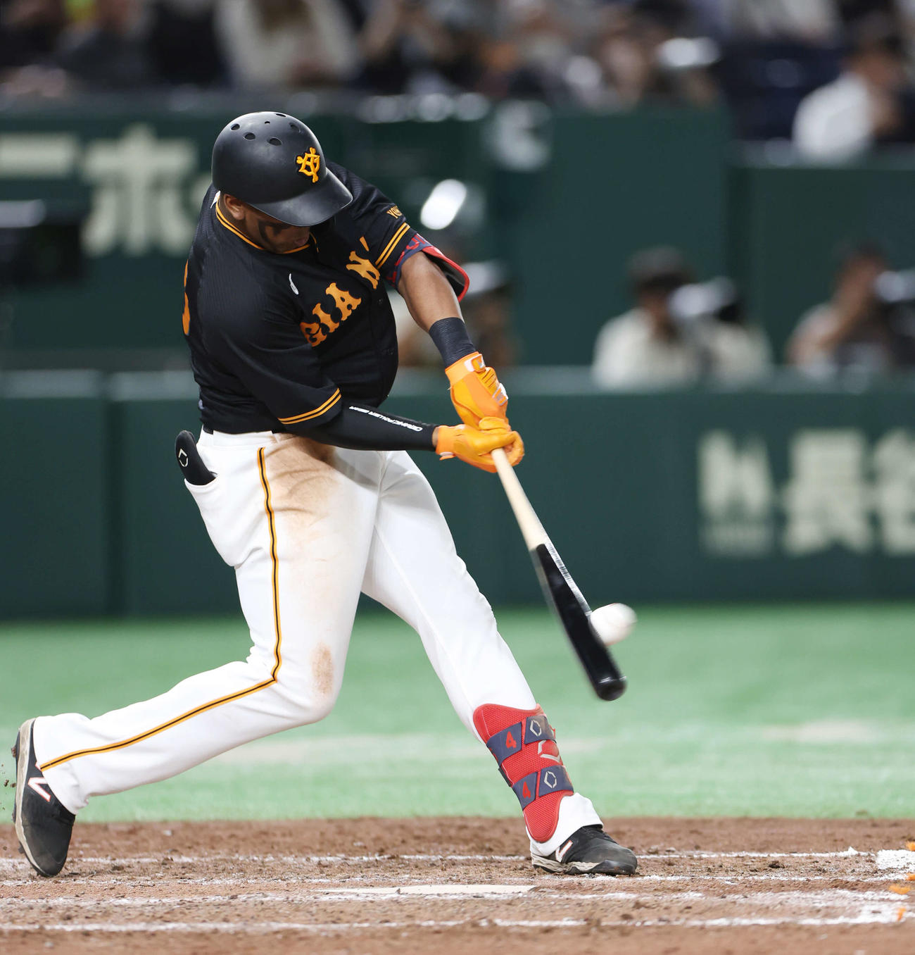 8月13日(火)巨人vs阪神 東京ドーム三塁側 野球