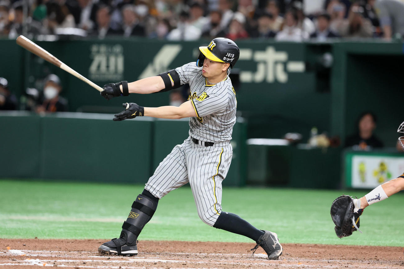 巨人対阪神　7回表阪神1死、代打佐藤輝は空振り三振に倒れる（撮影・加藤哉）
