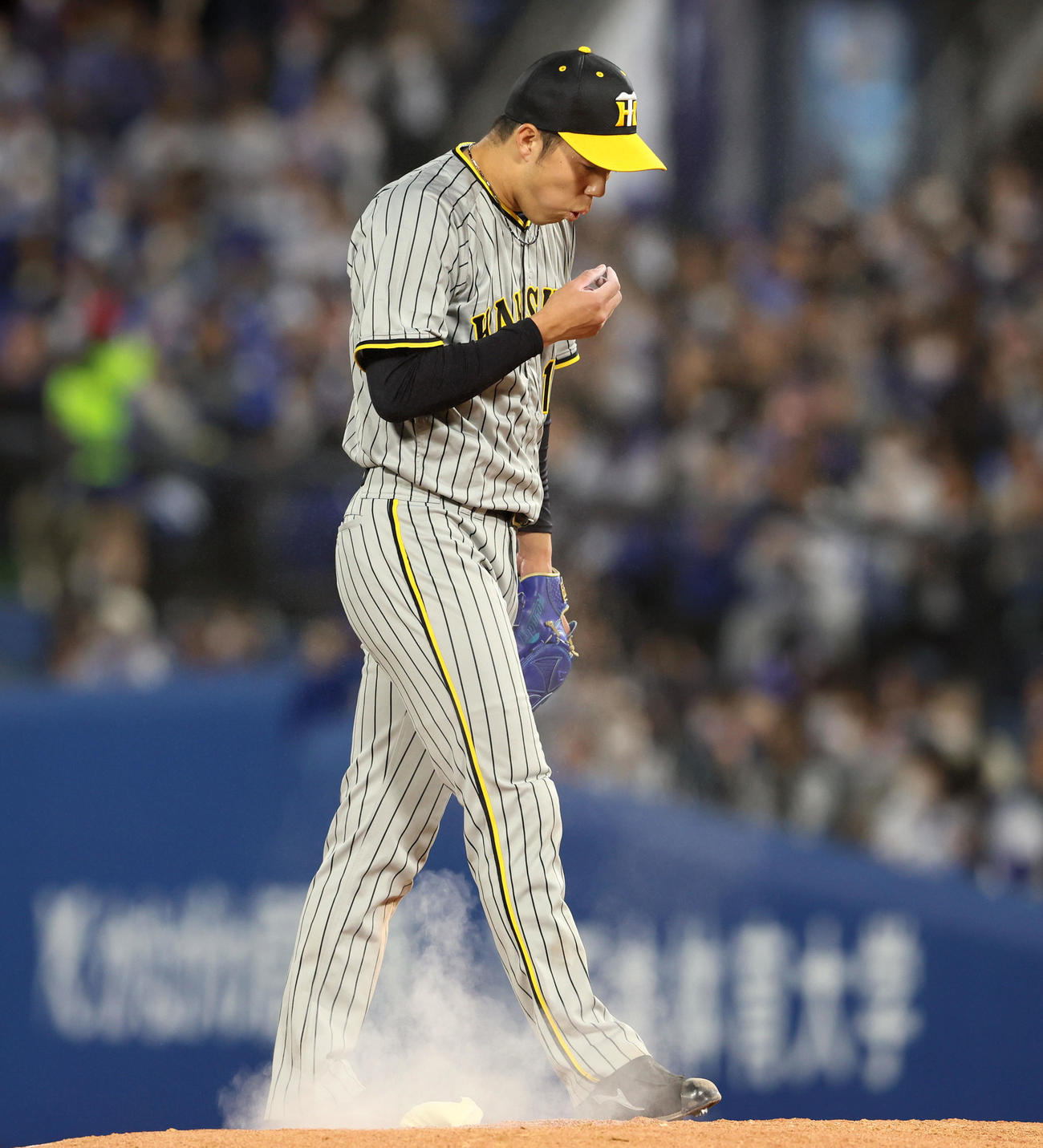 DeNA対阪神　5回裏DeNA1死満塁、青柳は牧に押し出し四球を与えマウンドへロジンを叩きつける（撮影・加藤哉）