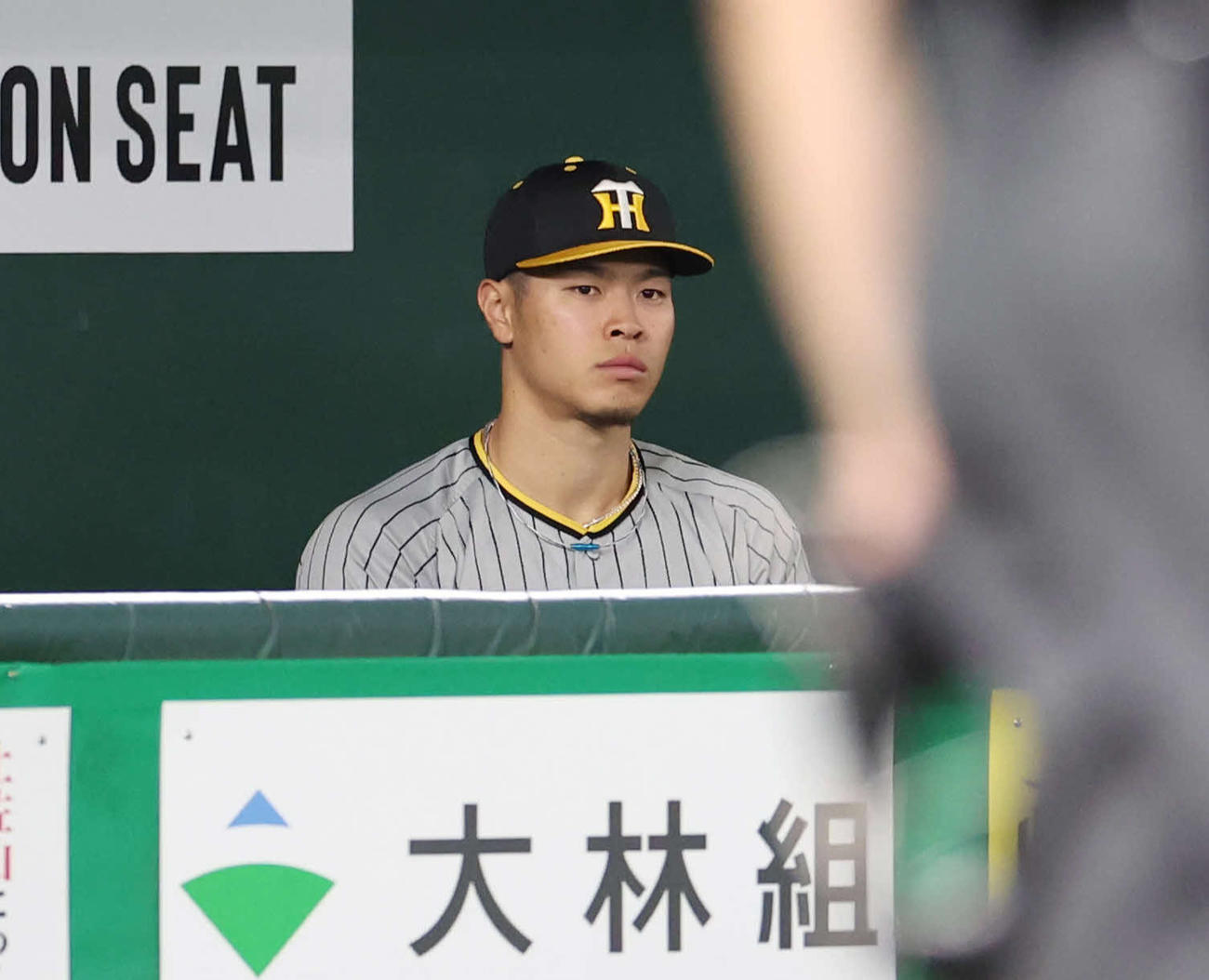 13日の巨人戦でベンチから試合を見つめる阪神佐藤輝明