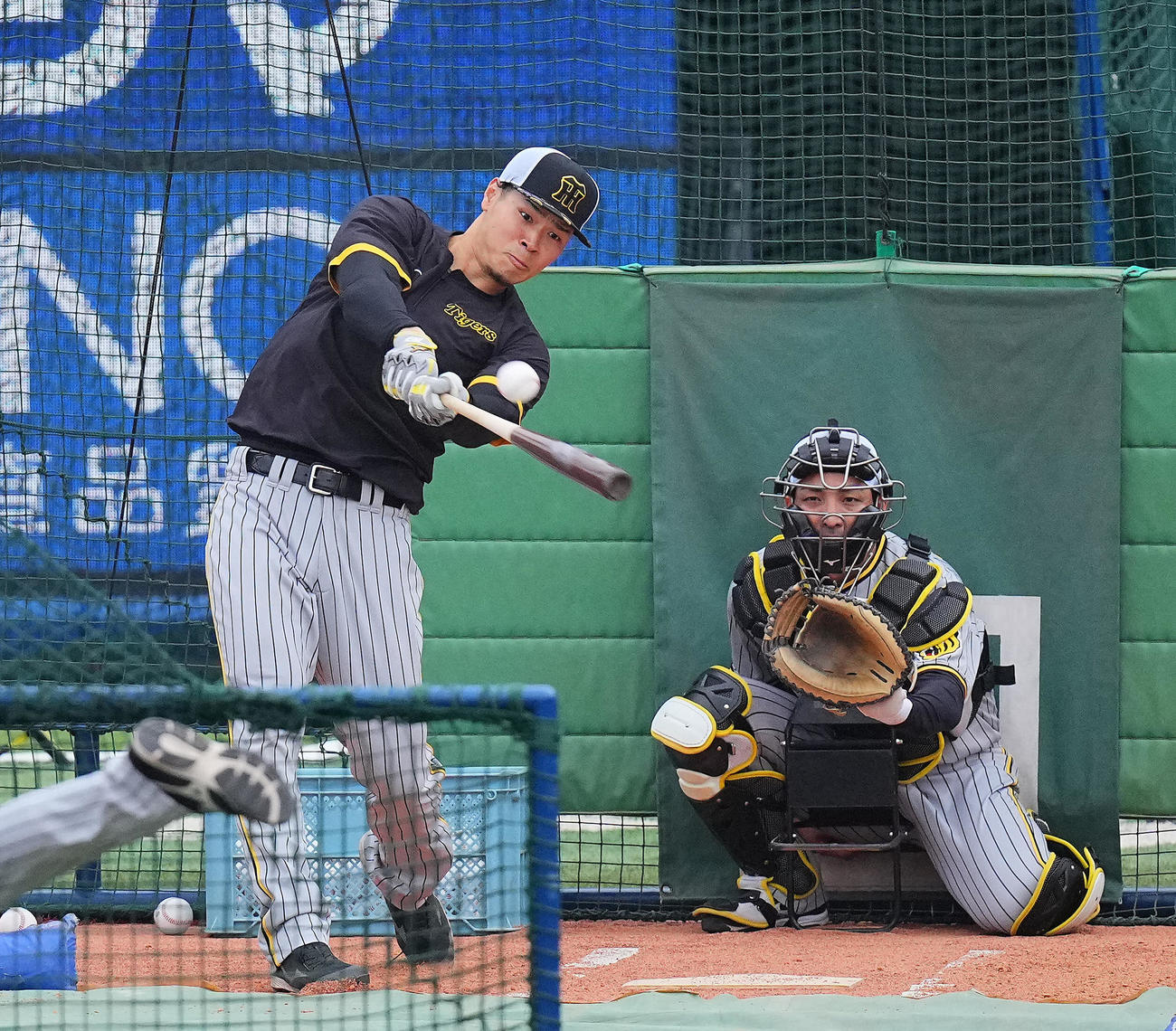 14日、DeNA戦の試合前に打撃練習を行う阪神佐藤輝明