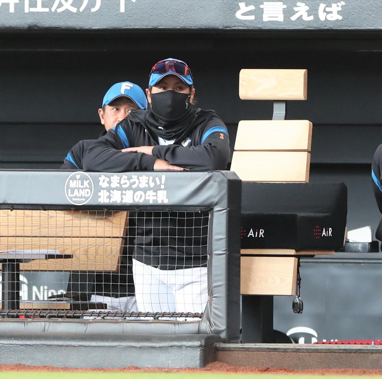 日本ハム対西武　試合を見つめる新庄監督（撮影・黒川智章）