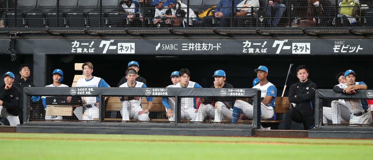 日本ハム対西武　ベンチで渋い表情の日本ハムナイン（撮影・黒川智章）