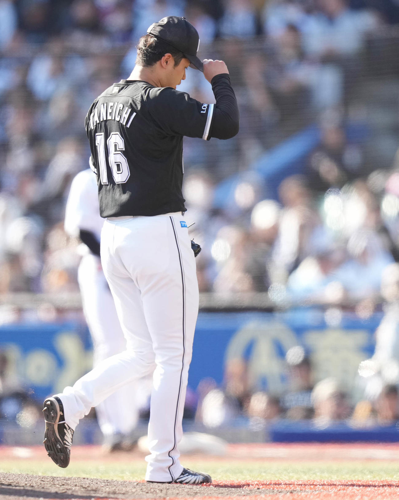 ロッテ対オリックス　5回表途中で降板するロッテ先発種市（撮影・鈴木みどり）