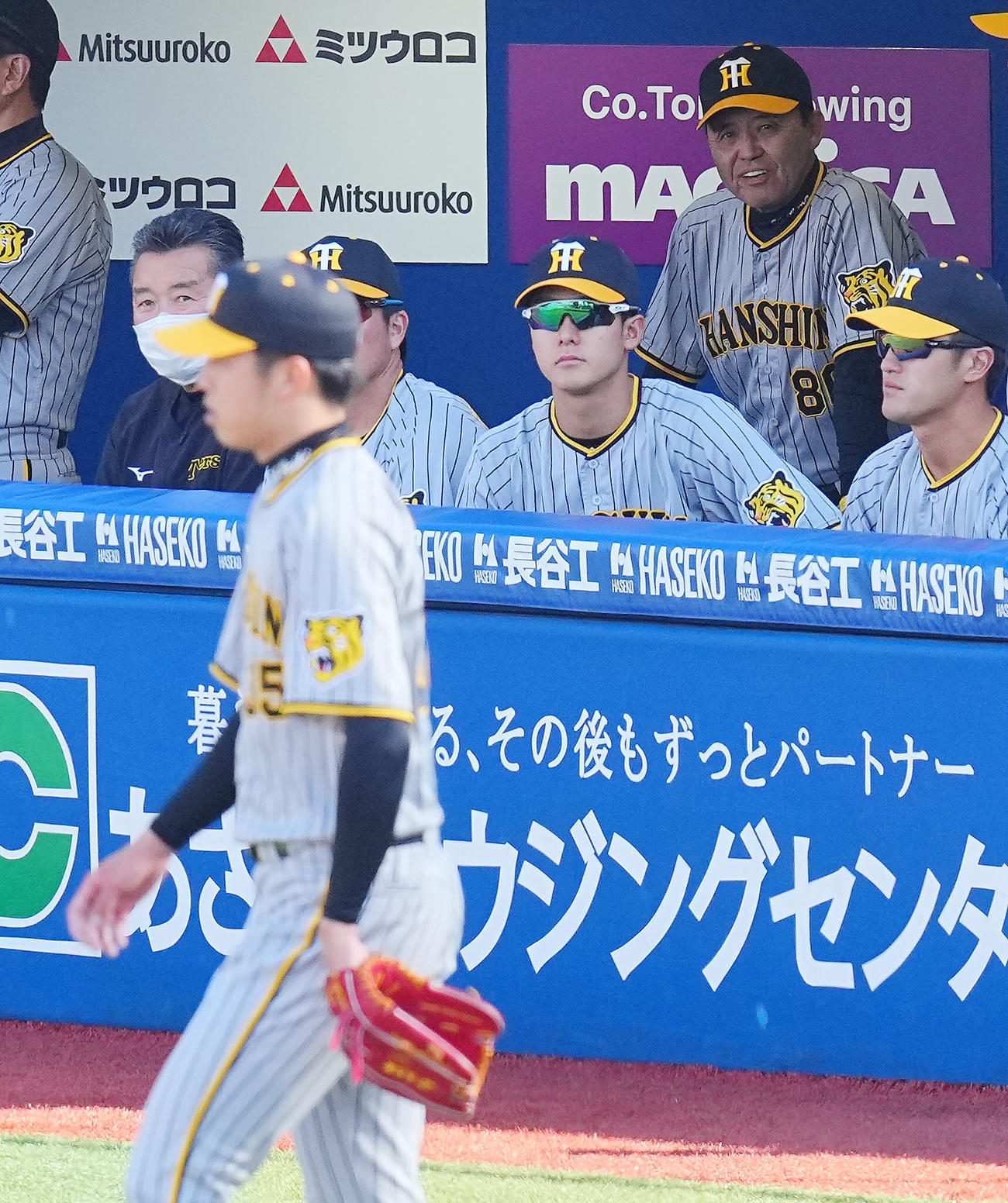 DeNA対阪神　6回裏、ベンチから笑顔で先発の才木（手前）を見つめる阪神岡田監督（後方右）（撮影・垰建太）