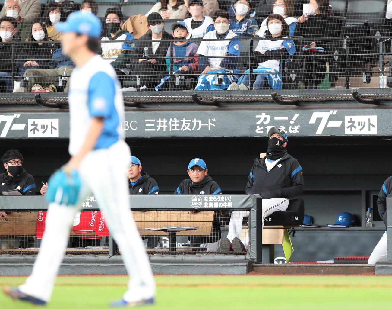 日本ハム対西武　9回表、石川（手前）の暴投で天を仰ぐ新庄監督（撮影・黒川智章）