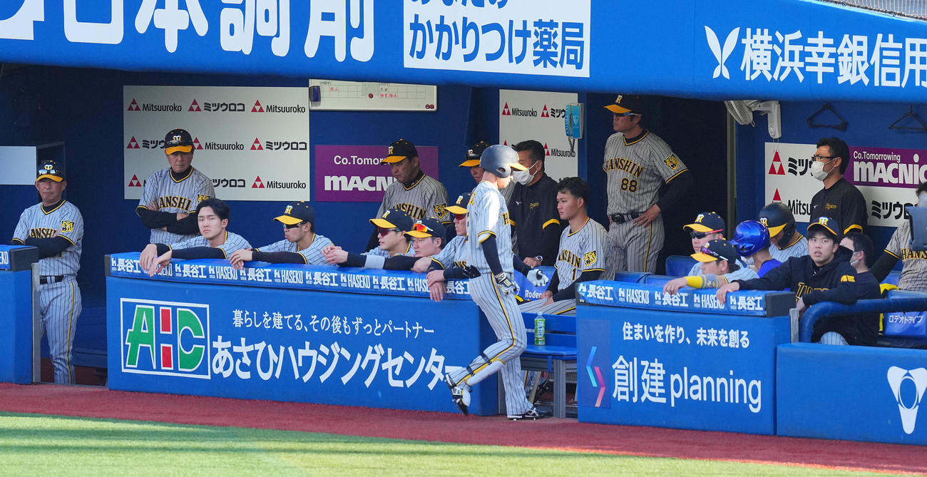 DeNA対阪神　9回表、ベンチでうつむきさえない表情の岡田監督（後方左から3人目）ら阪神ナイン（撮影・垰建太）