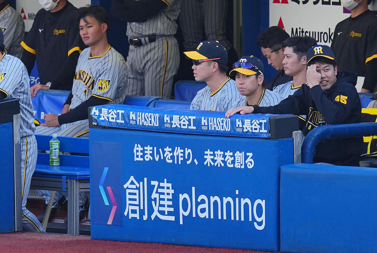DeNA対阪神　9回表、ベンチでさえない表情の才木（手前右）ら阪神の選手たち（撮影・垰建太）