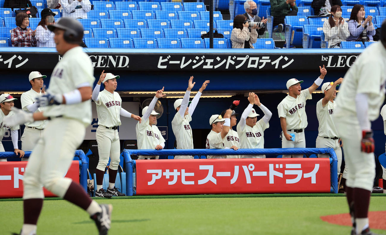 早大対東大　7回表早大1死二、三塁、小沢が右越え2点適時三塁打を放ち大喜びする早大ベンチ（撮影・浅見桂子）