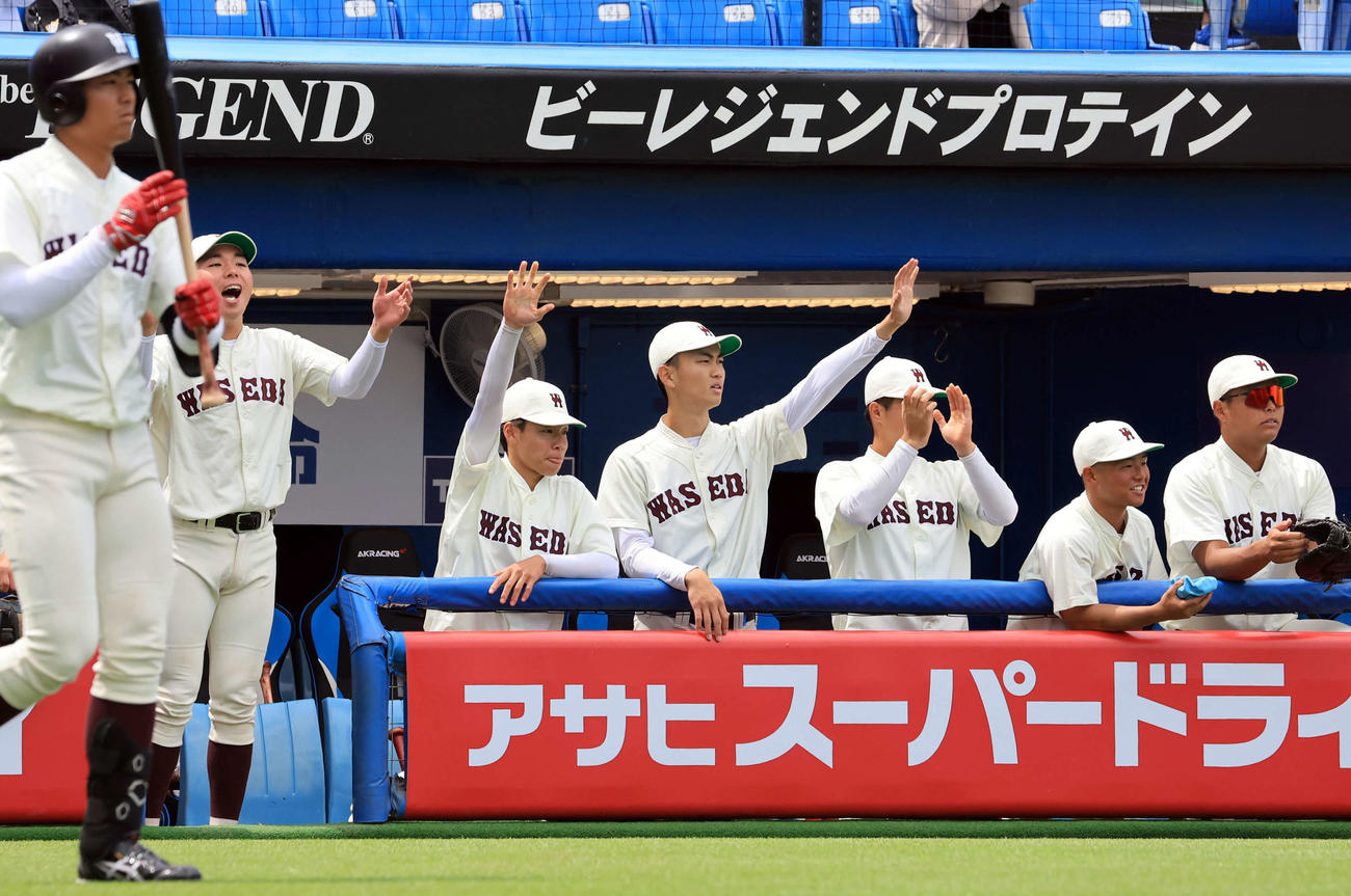 早大対東大　7回表早大1死一、二塁、尾瀬が右適時打を放ち、手を上げて喜ぶ鹿田（中央）ら早大ベンチ（撮影・浅見桂子）