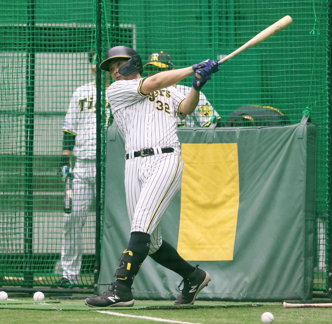 打撃練習する井上広大（2023年3月23日撮影）