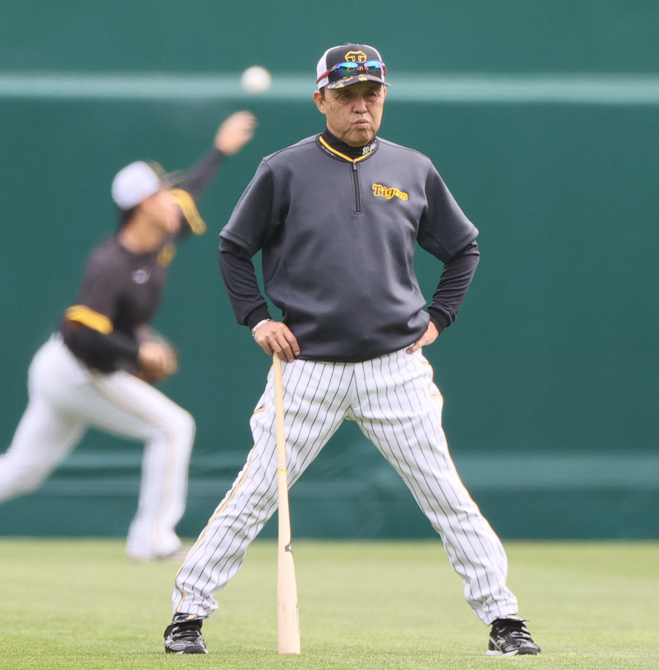 試合前の練習を見守る阪神岡田監督（撮影・上山淳一）