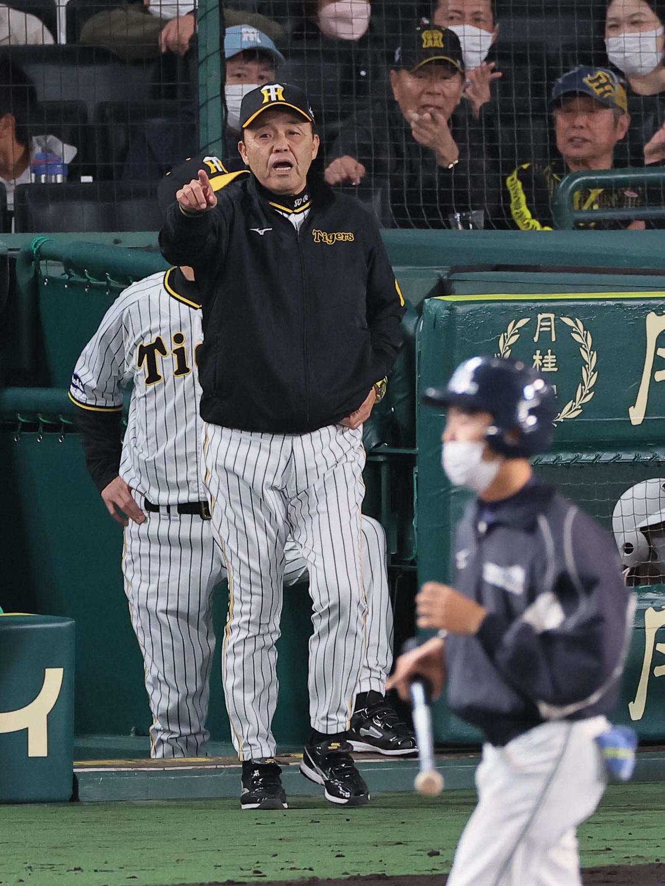 阪神対広島　選手交代を告げる岡田監督（撮影・上田博志）