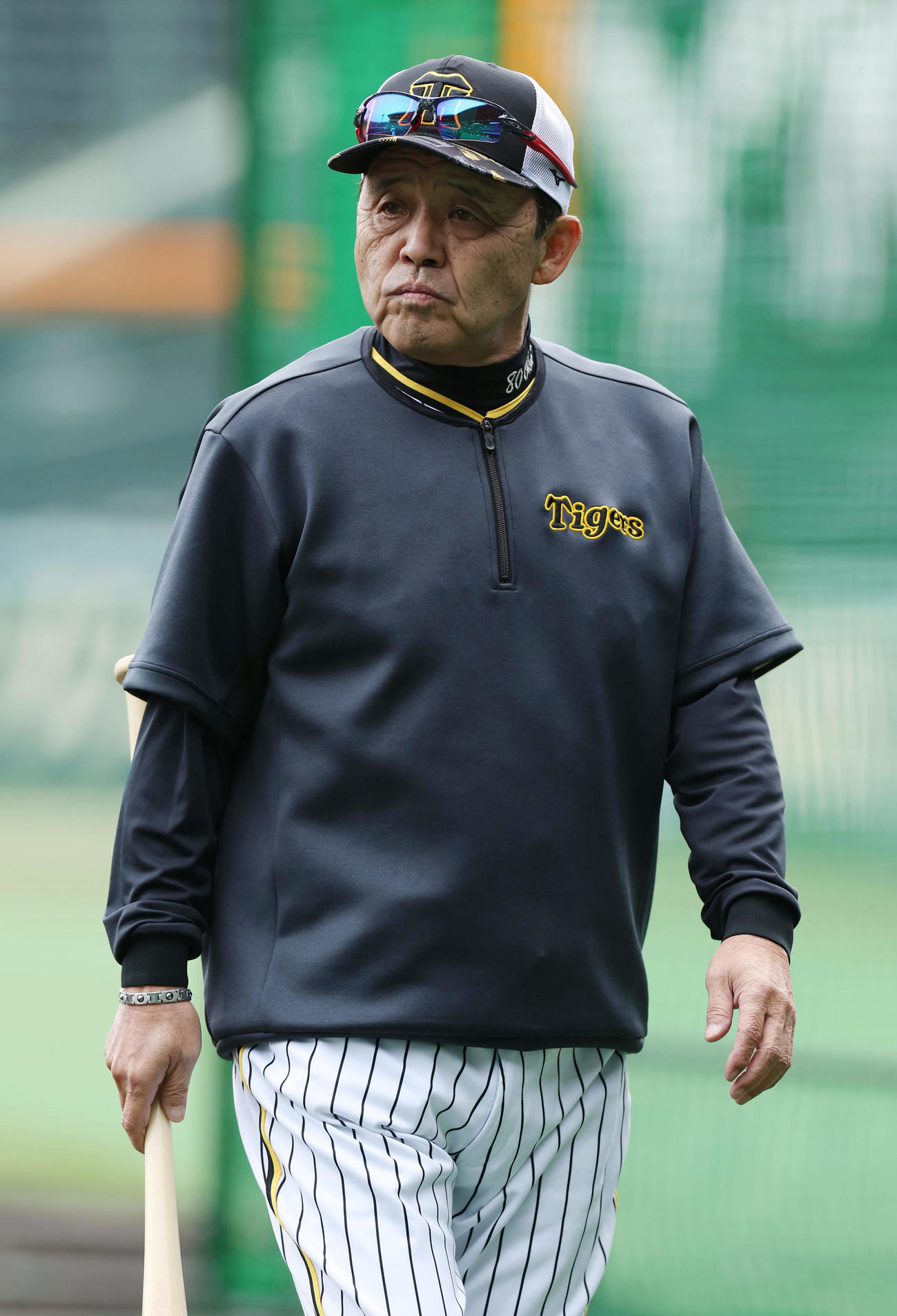 阪神対広島　試合前練習を見守る阪神岡田監督（撮影・前田充）