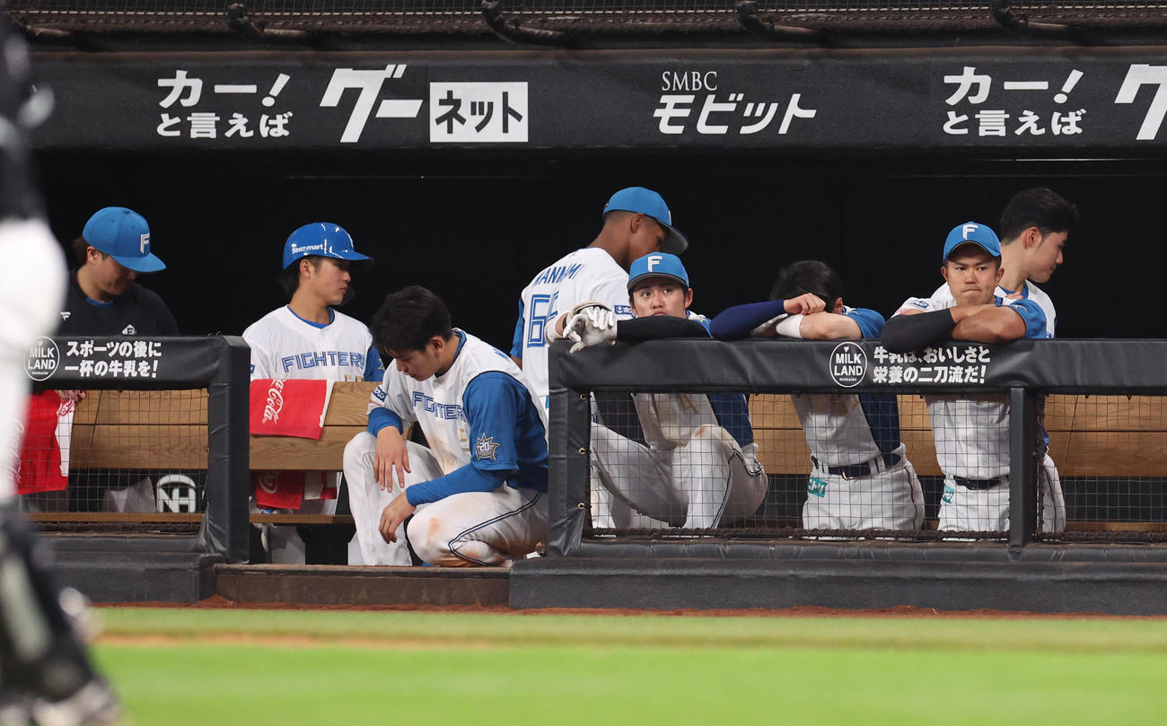 日本ハム対ロッテ　意気消沈の日本ハムベンチ（撮影・佐藤翔太）