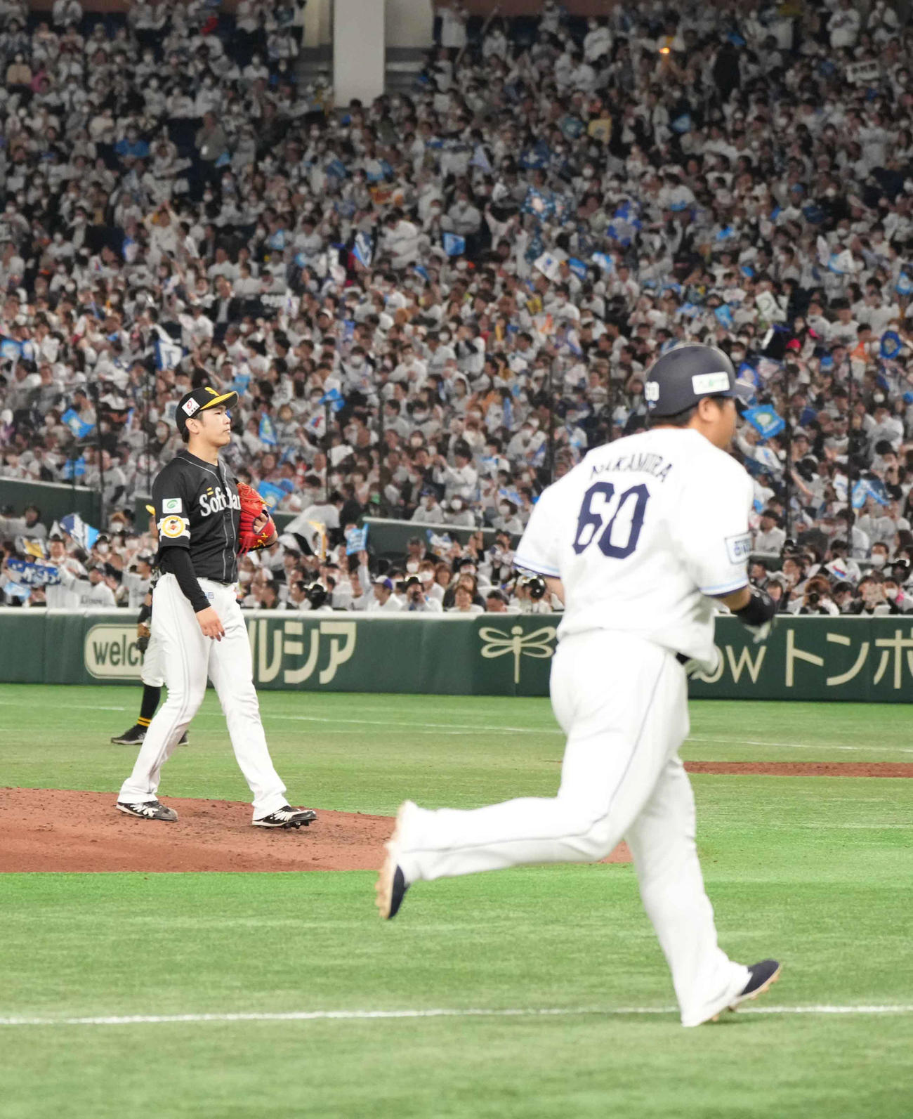 西武対ソフトバンク　4回裏西武1死、ソフトバンク先発の石川（左）は中村に左越えの2者連続ソロ本塁打を許す（撮影・小沢裕）