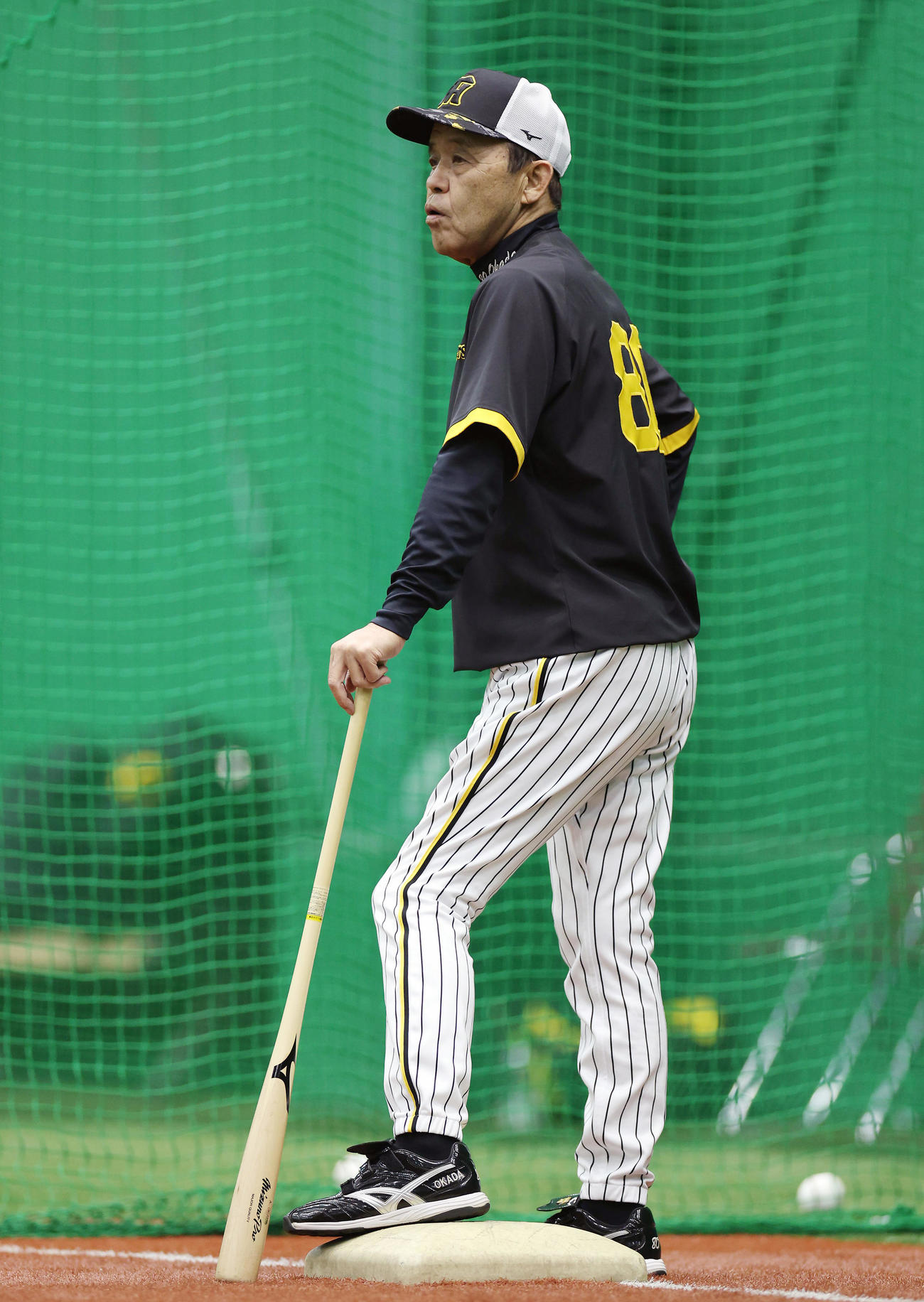 阪神対広島　試合前練習を見守る阪神岡田監督（撮影・前田充）