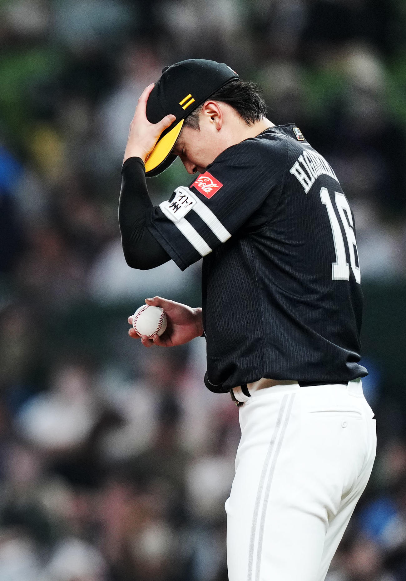 西武対ソフトバンク　1回裏開始前、集中するソフトバンク東浜（撮影・横山健太）