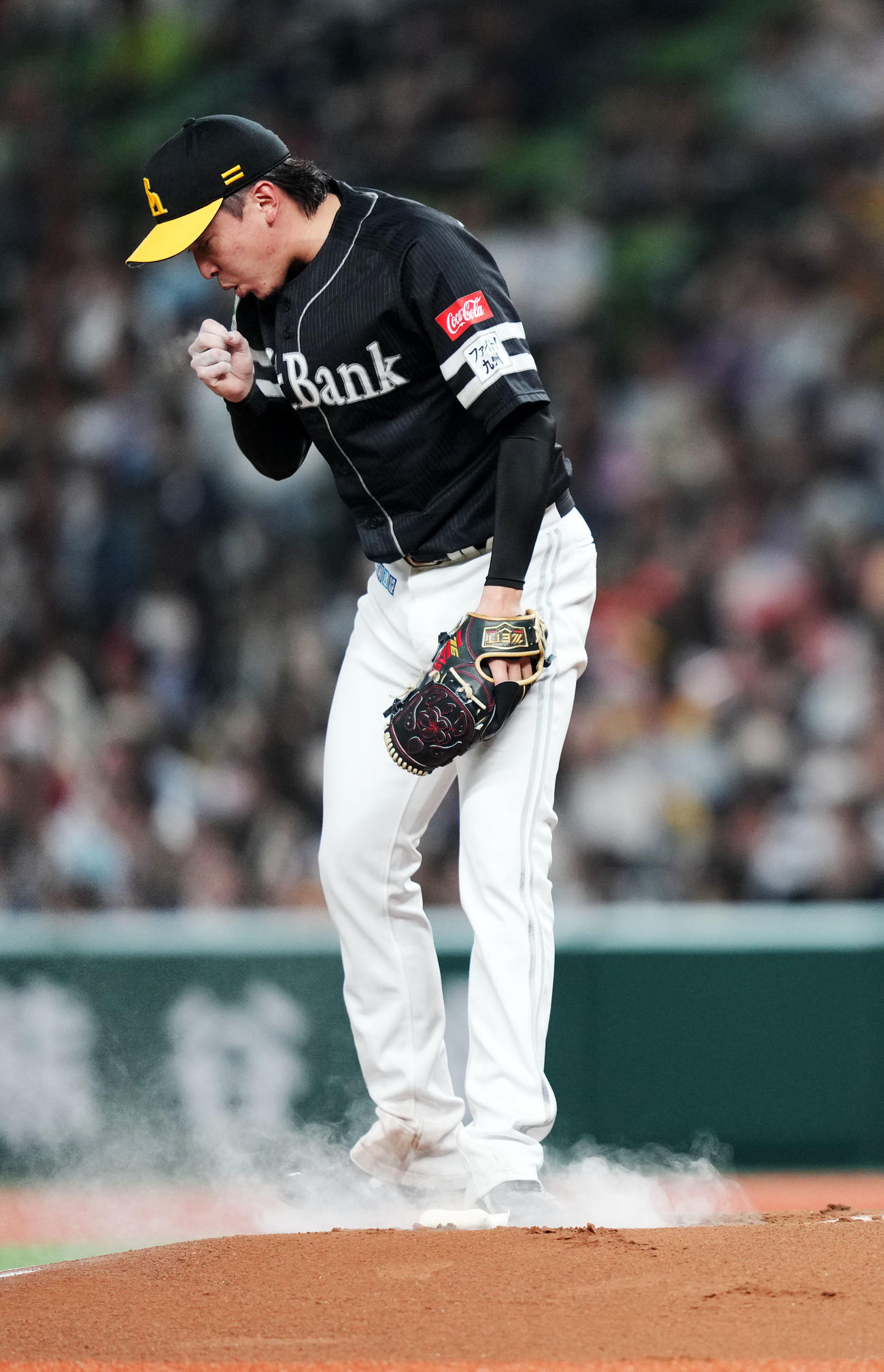 西武対ソフトバンク　1回裏開始前、集中するソフトバンク東浜（撮影・横山健太）