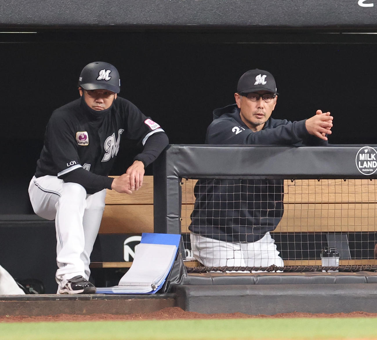 日本ハム対ロッテ　ベンチで険しい表情のロッテ吉井監督（撮影・佐藤翔太）