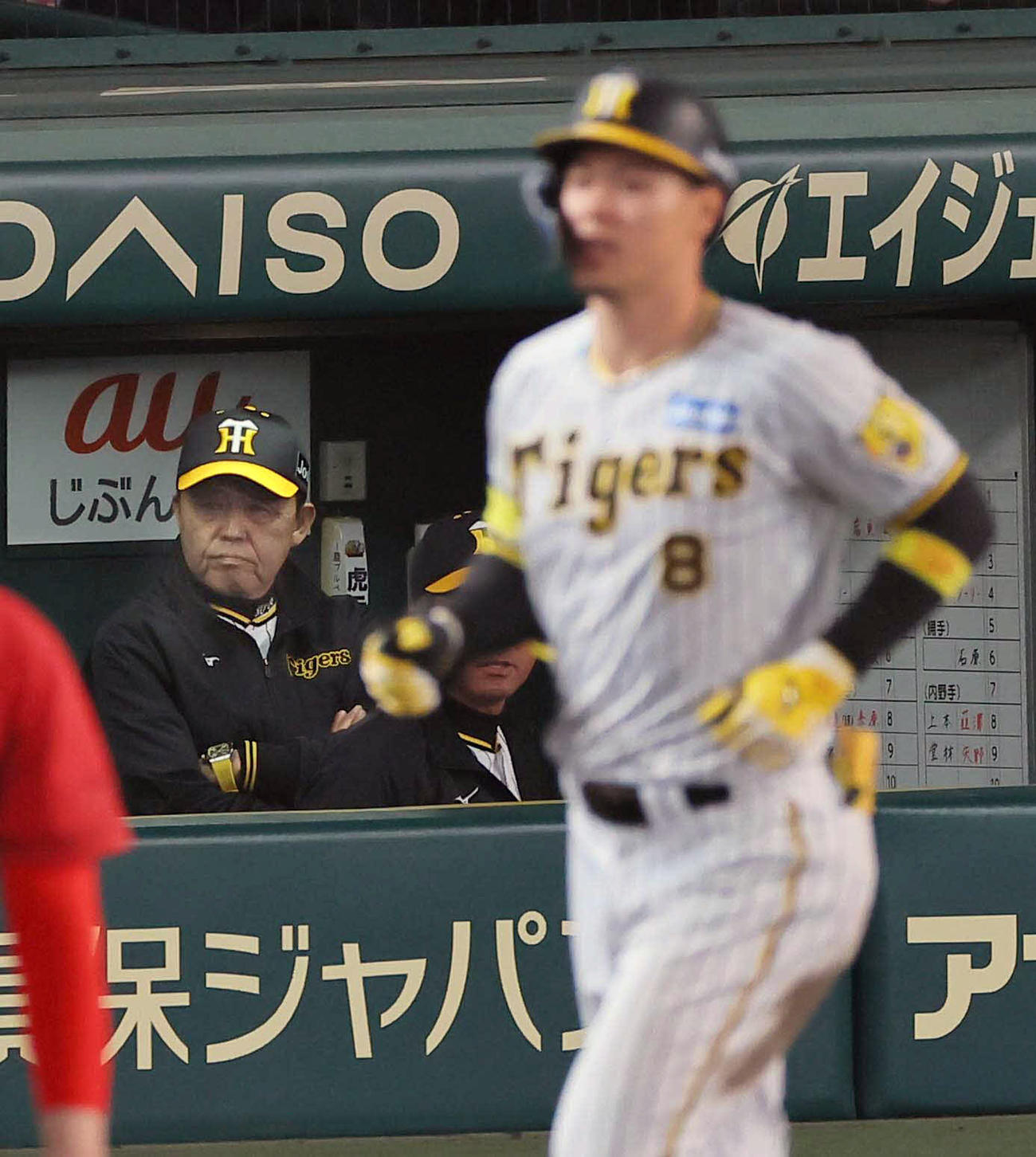 阪神対広島　7回裏阪神無死一塁、岡田監督は右飛に倒れた佐藤輝の打球を見つめる（撮影・上田博志）