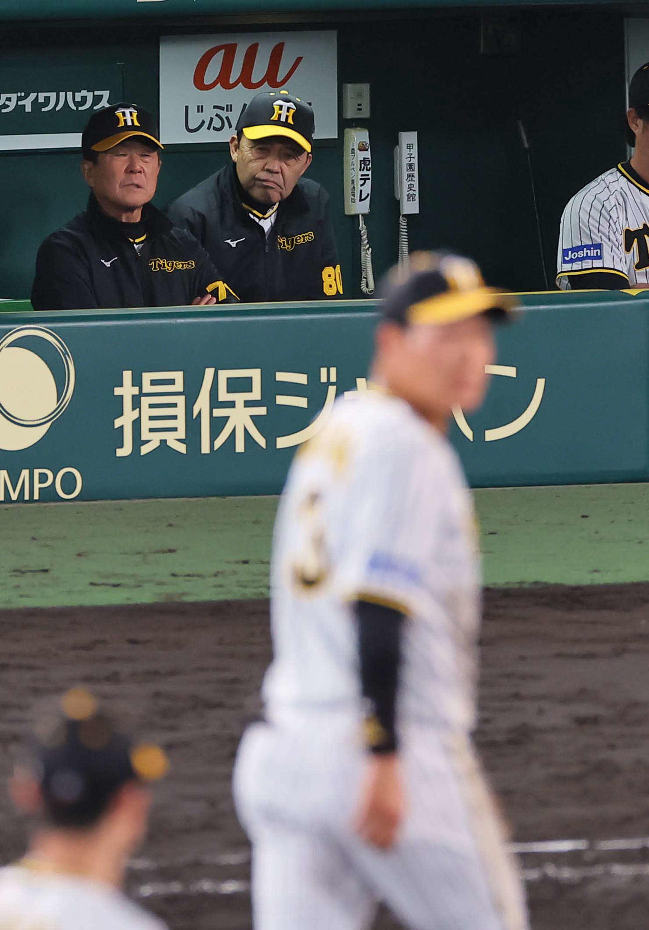 阪神対広島　8回表広島無死二塁、岡田監督（中央）は坂倉の打球を後逸した大山を見つめる（撮影・上田博志）