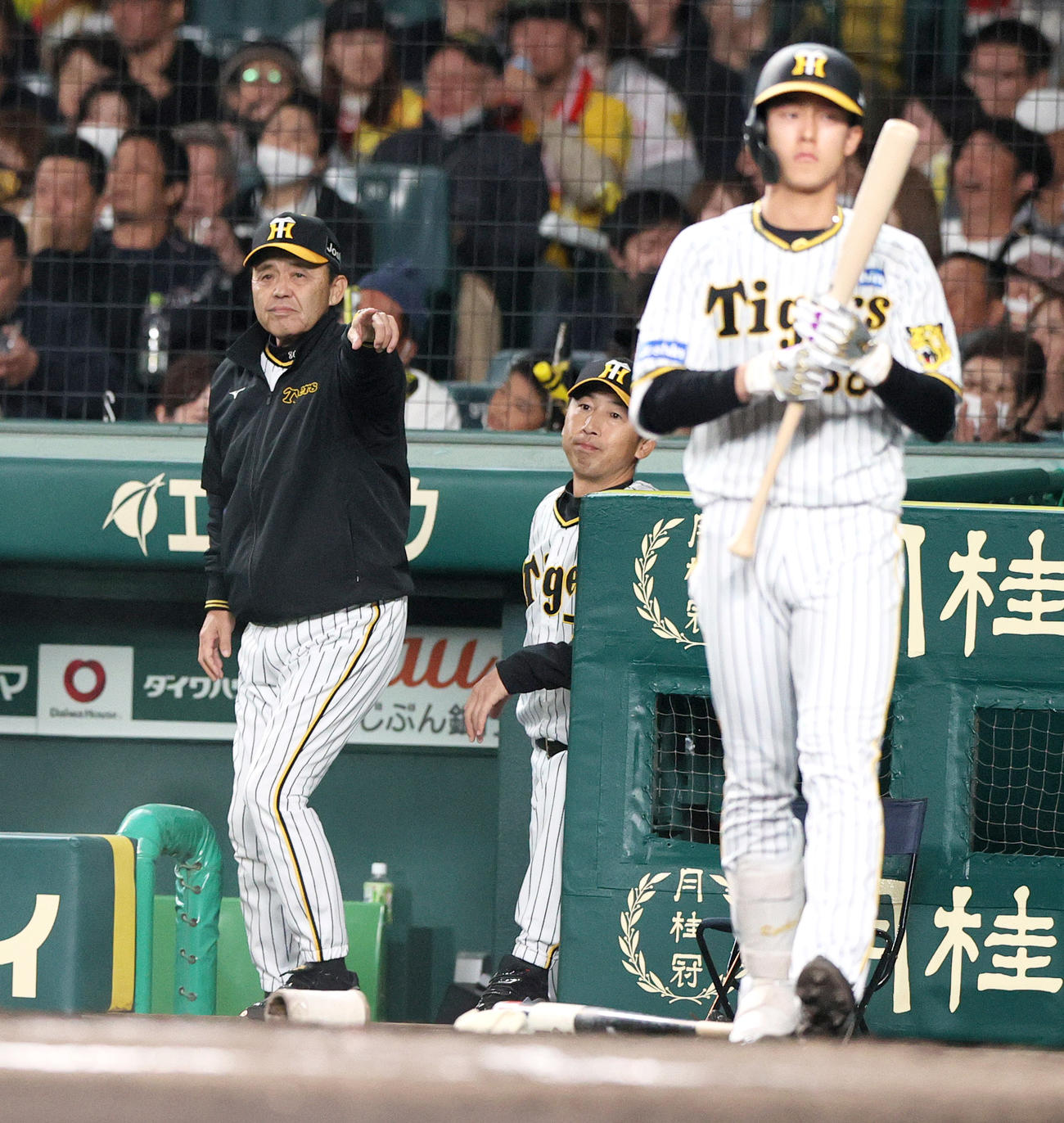 阪神対広島　6回裏阪神無死一塁、小幡（手前）を代打に送る岡田監督（撮影・上山淳一）