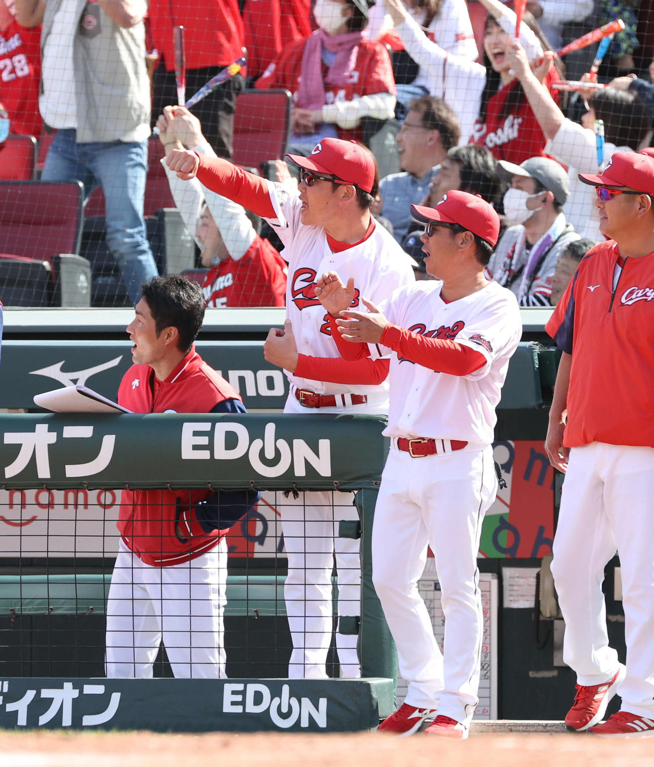 広島対DeNA 4回裏広島1死二塁、西川の右越え2点本塁打に大喜びの広島新井監督（中央）（撮影・加藤孝規）