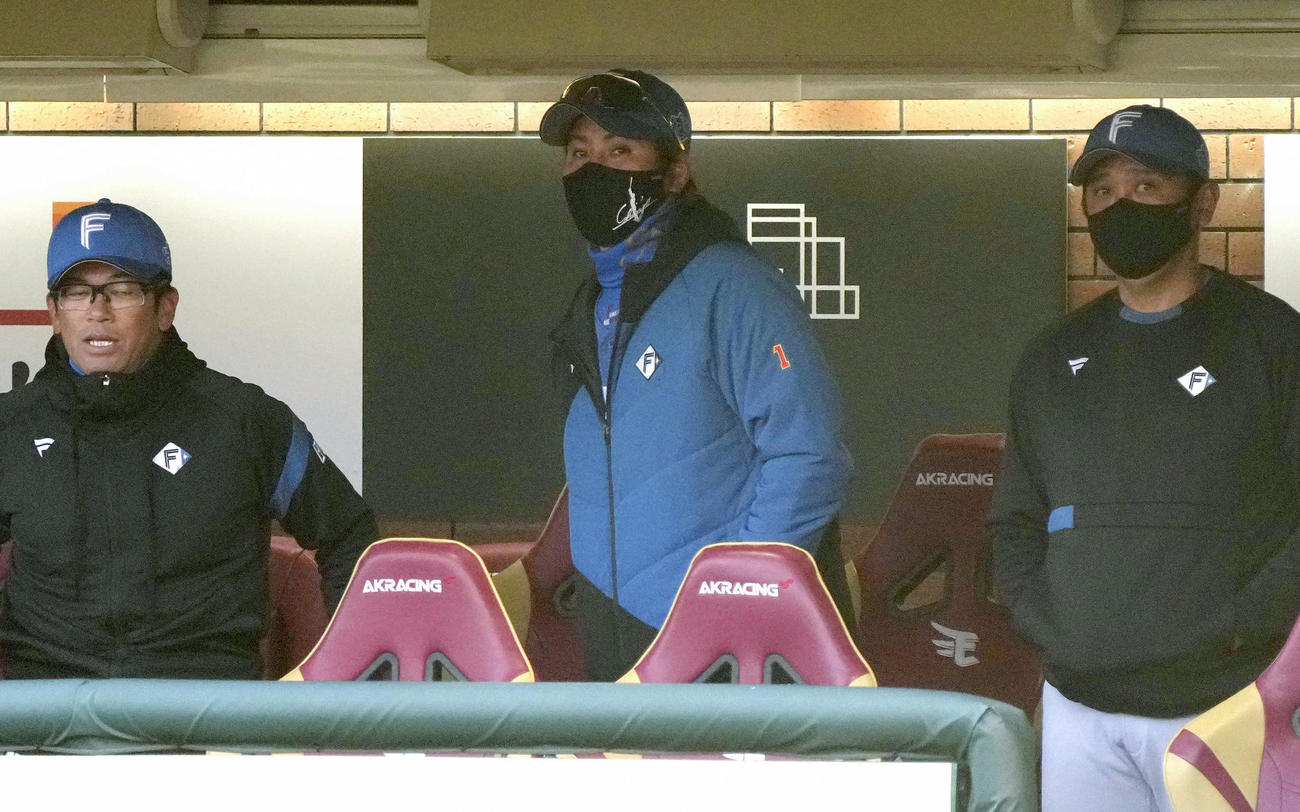 ベンチから試合を見つめる日本ハム新庄監督（共同）