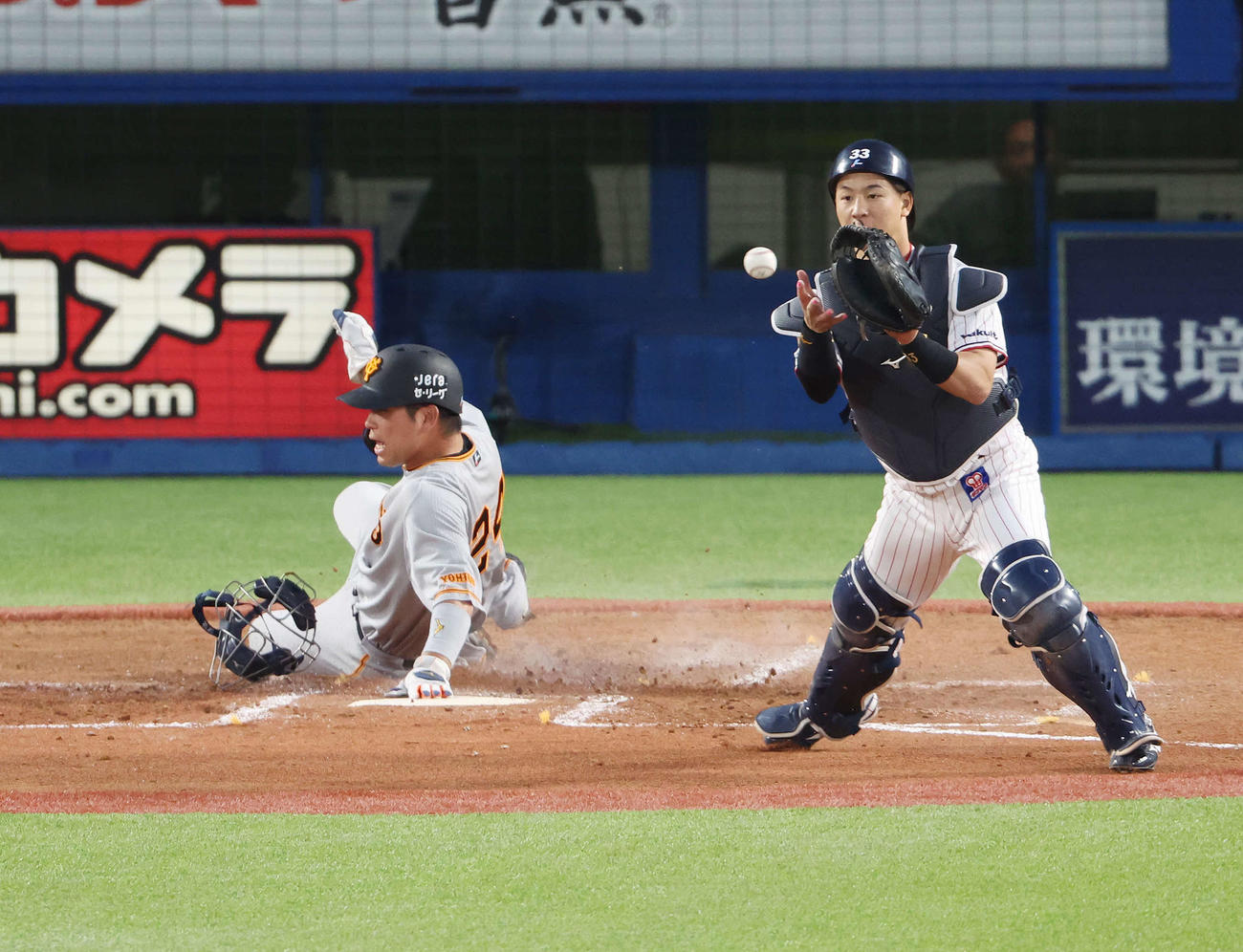 ヤクルト対巨人　2回表巨人2死二塁、秋広が右へ適時打を放ち、生還した大城卓（左）（撮影・宮地輝）