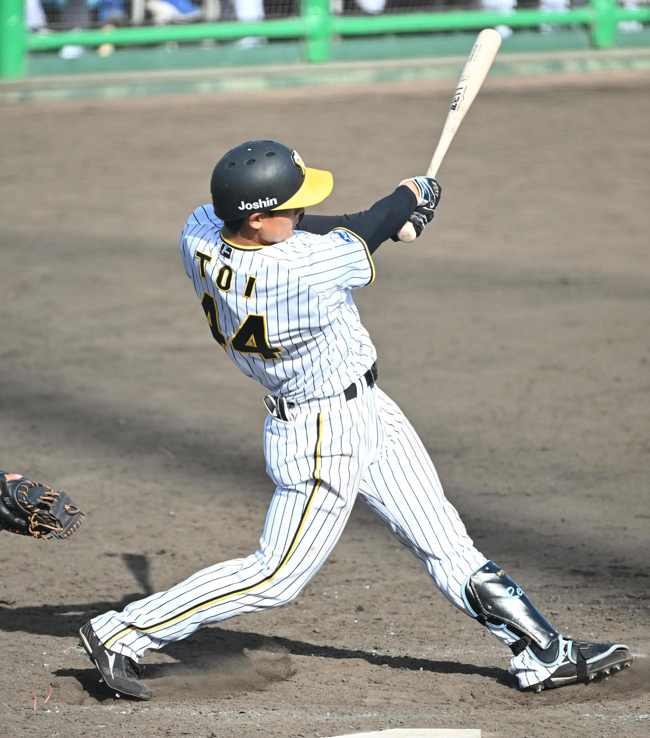 阪神戸井零士（2023年4月撮影）