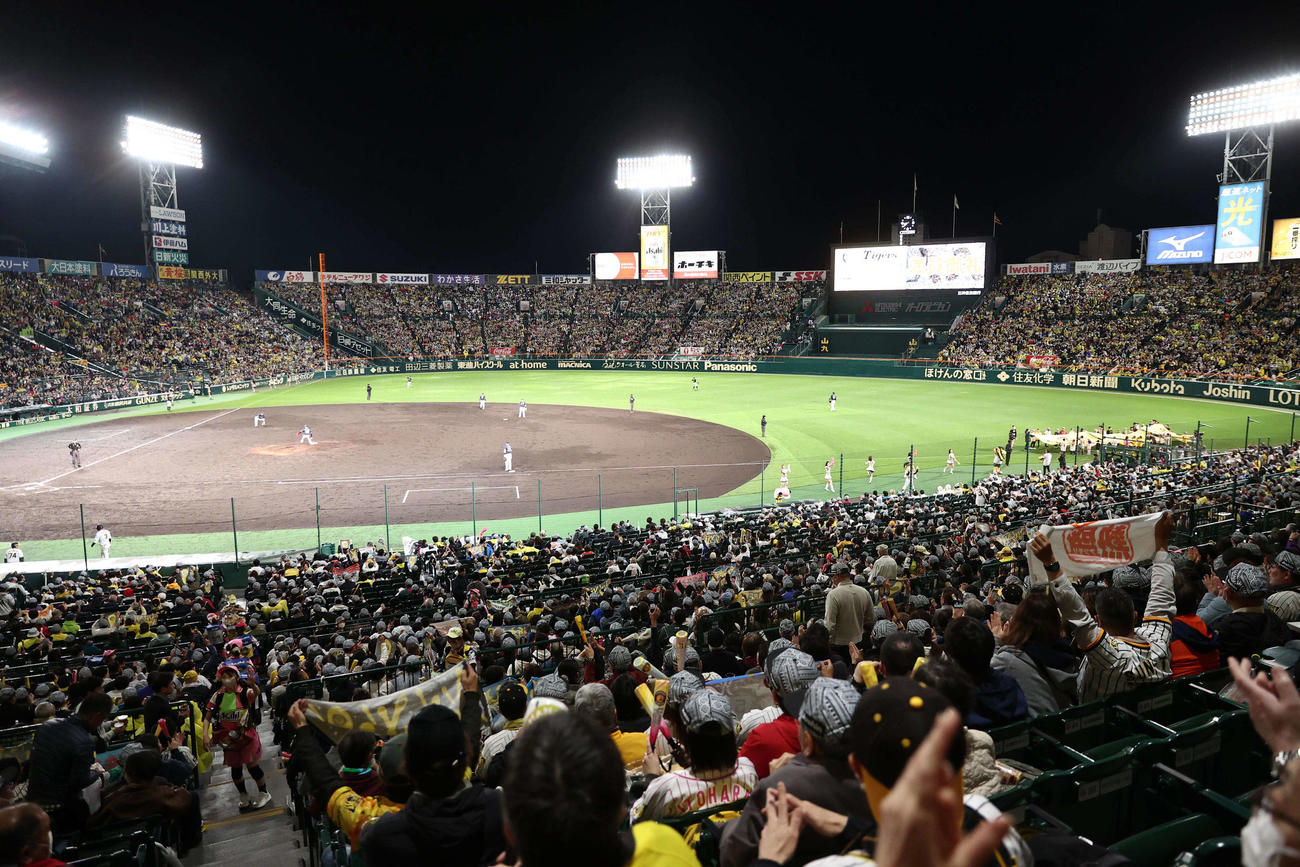 甲子園で盛り上がる阪神ファン（2023年4月7日撮影）