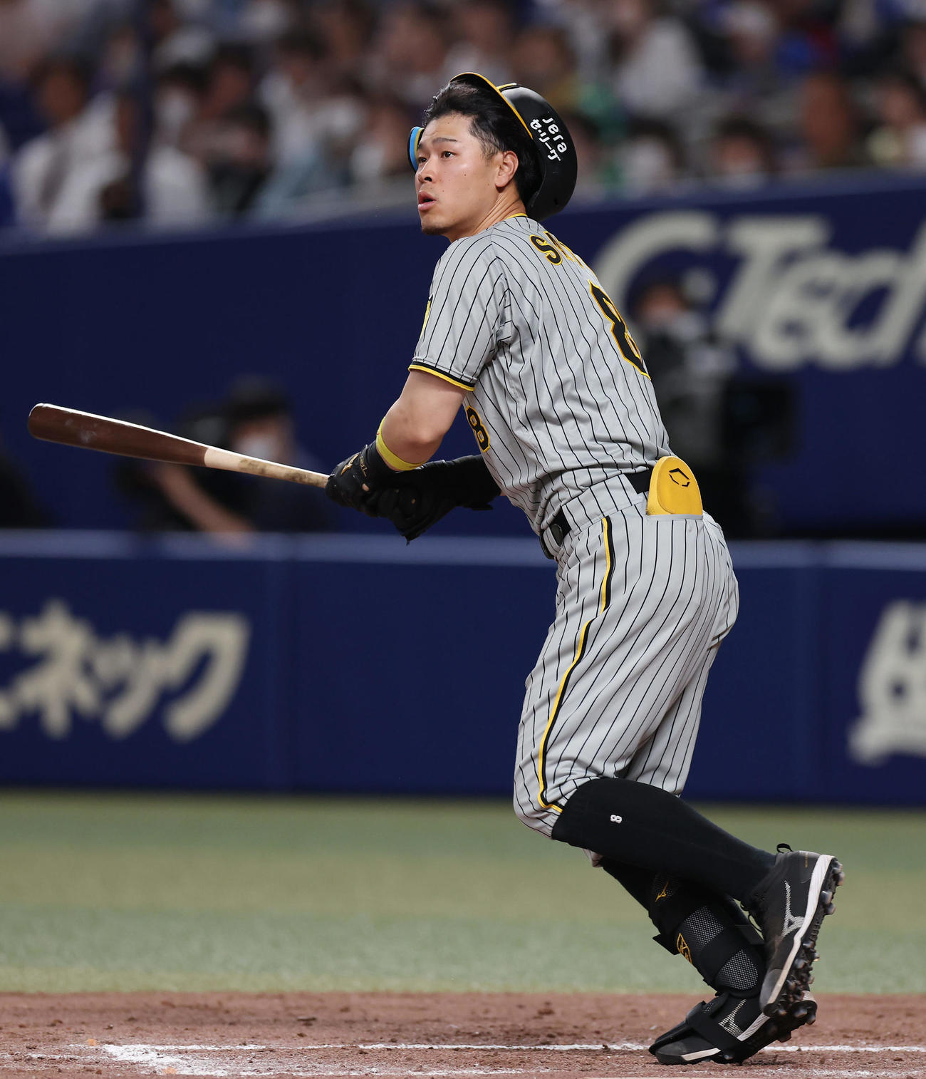 阪神佐藤輝明（2023年4月21日撮影）