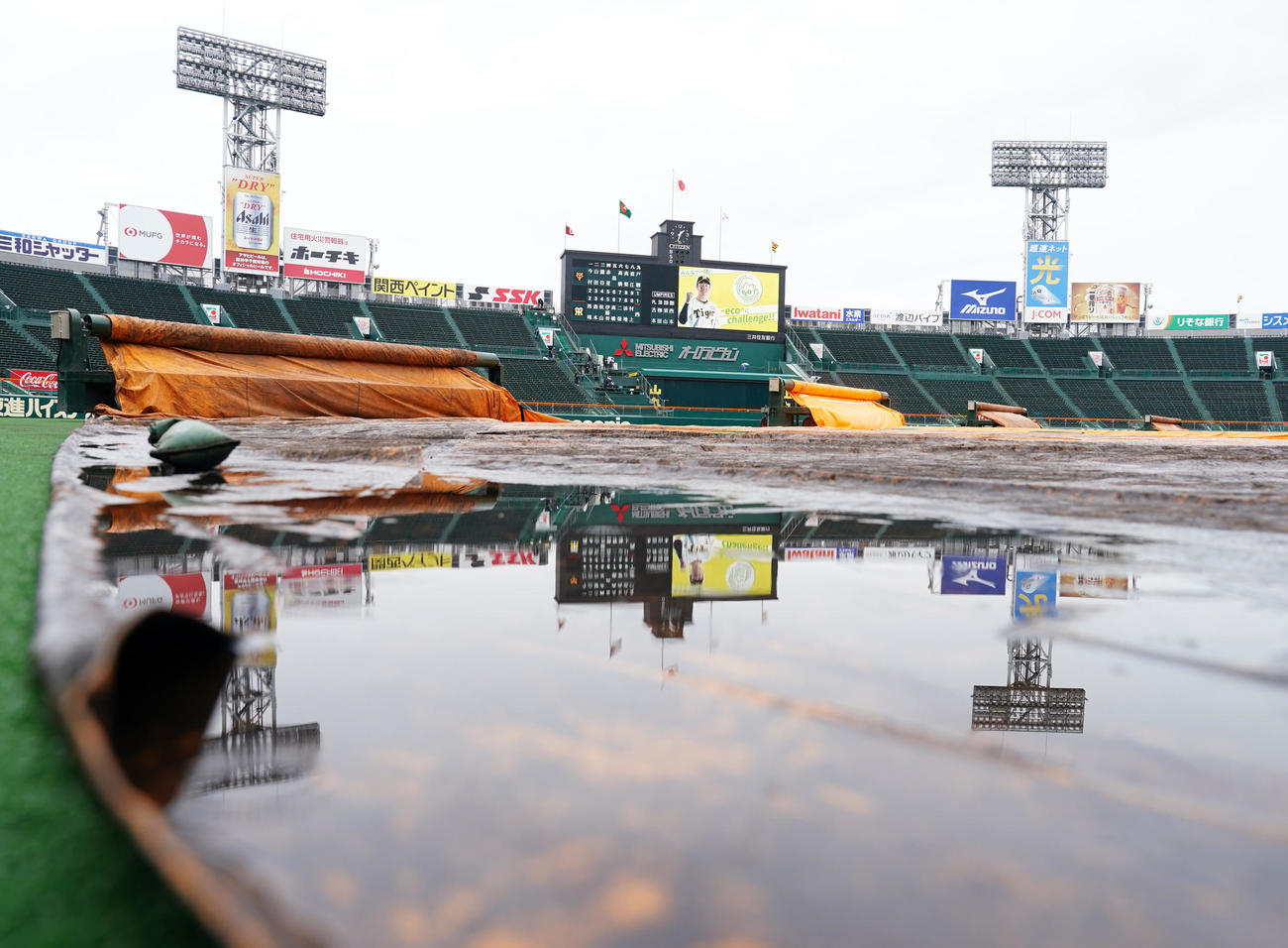 阪神対巨人　試合前、グラウンドにシートが敷かれる甲子園球場（撮影・江口和貴）