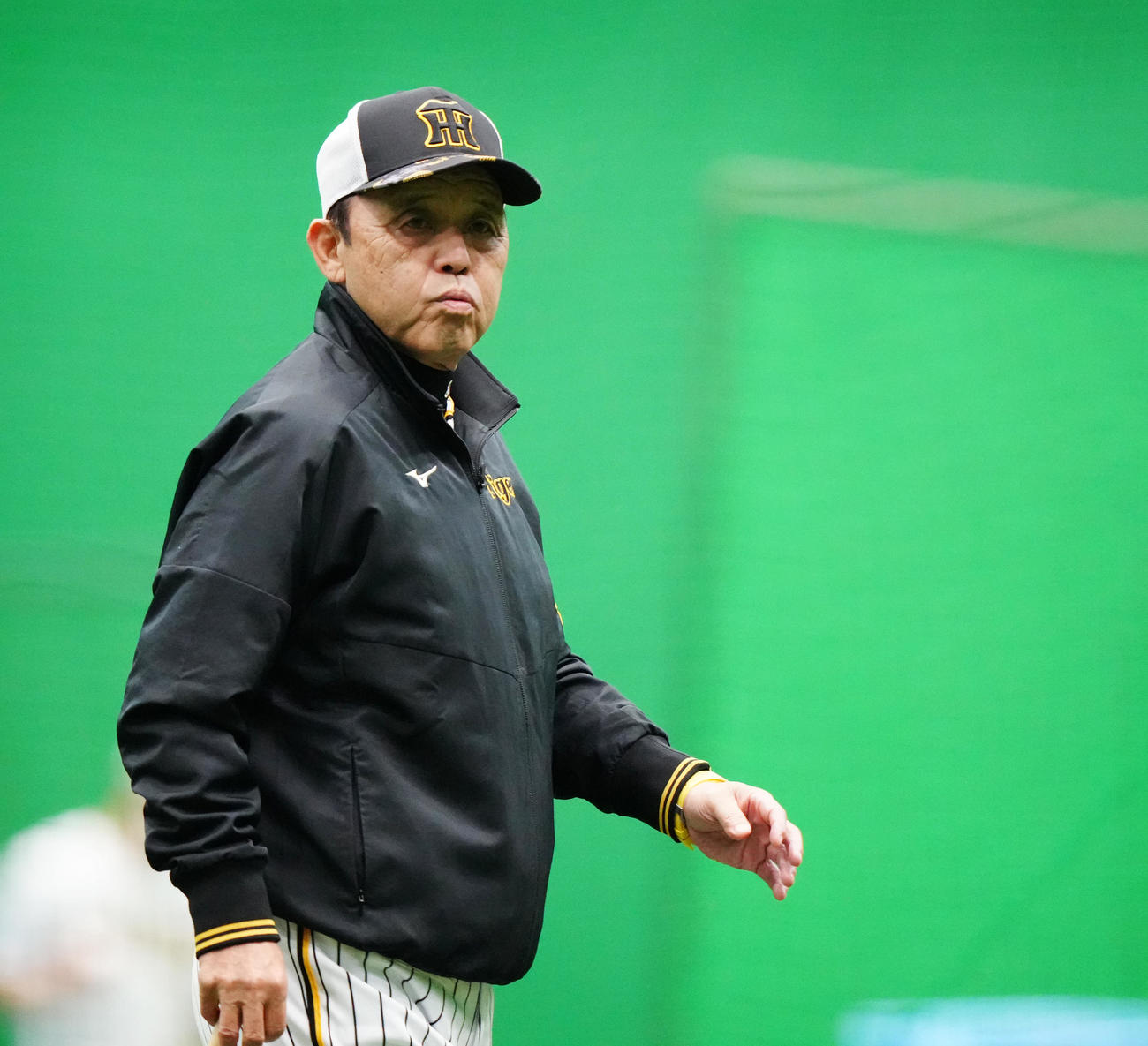 阪神対巨人　室内で練習を見つめる阪神岡田監督（撮影・江口和貴）