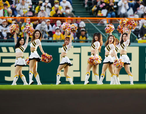阪神対巨人 試合前、パフォーマンスする阪神「タイガースガールズ」(撮影・江口和貴)